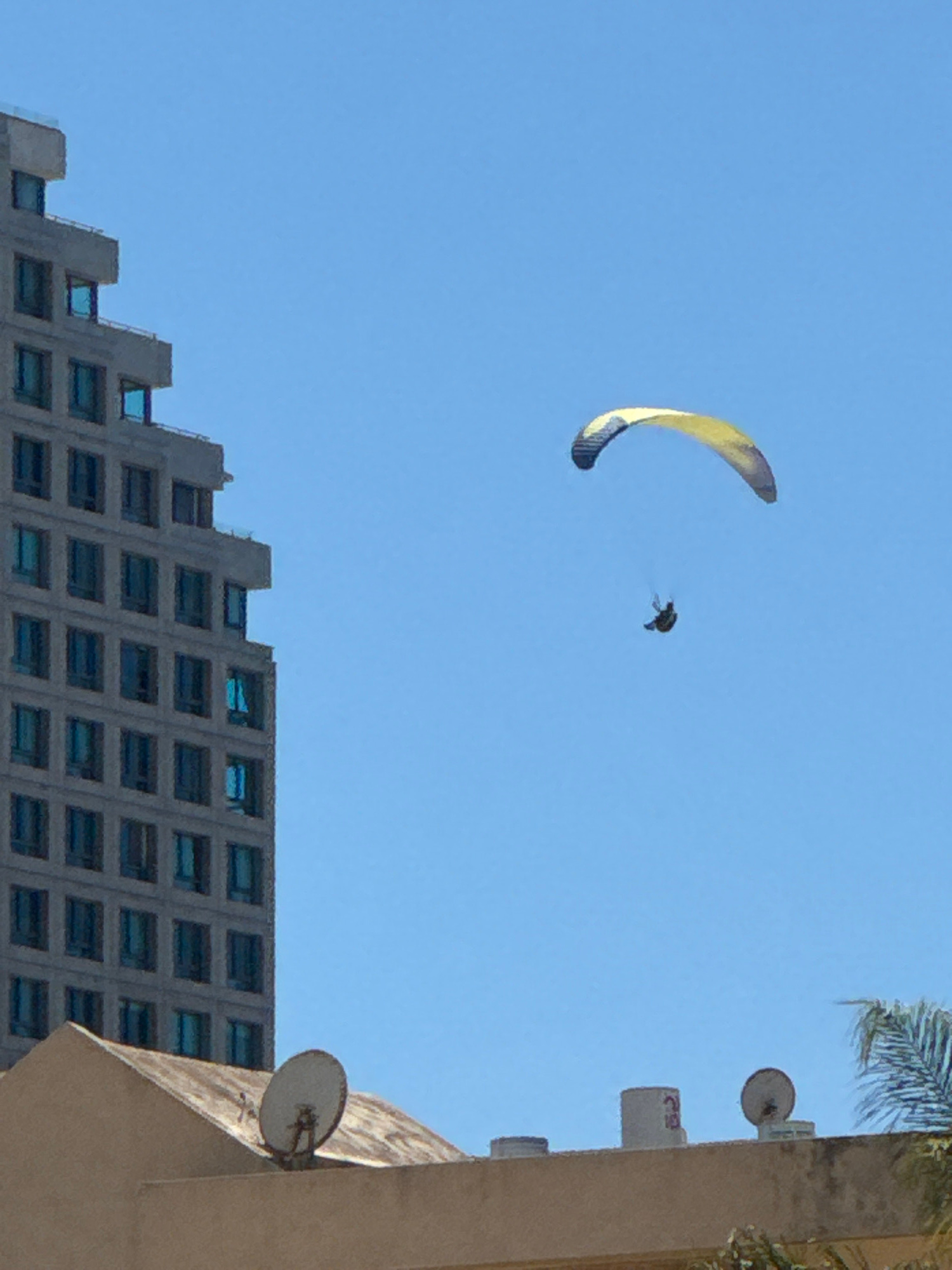 The image captures a clear blue sky over Netanya, Israel. On the left side, the geometric facade of a modern, grey high-rise building dominates the frame, its numerous windows reflecting the bright daylight. To the right of the building, a person is paragliding with a yellow and blue parachute. In the foreground, the roofline of a lower, beige-colored building is visible, featuring two satellite dishes. A palm frond is seen on the far right edge of the frame, indicating a tropical or subtropical environment.
