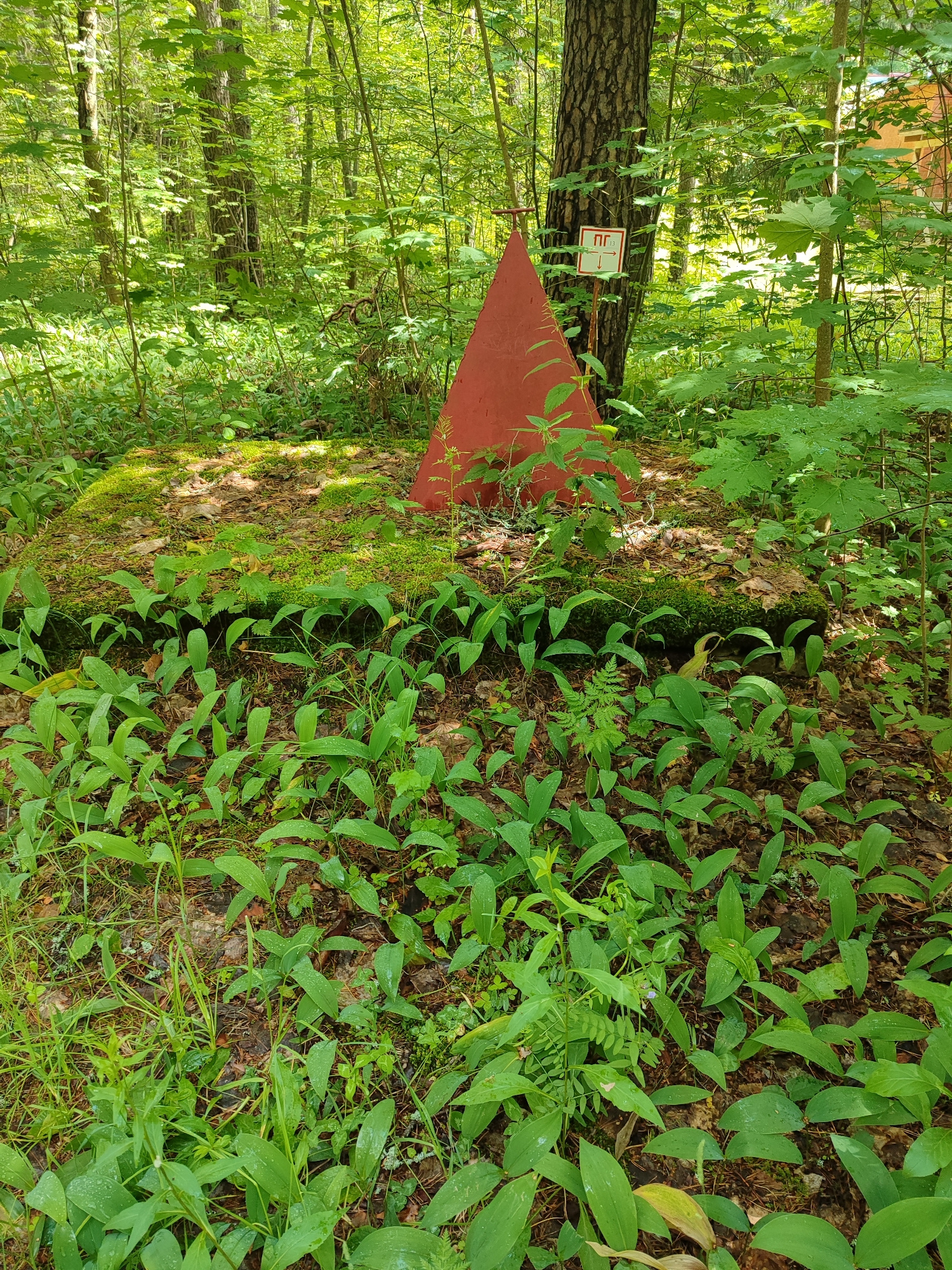 In a dense, green forest, a prominent red triangular marker stands at an angle, partially obscured by lush green foliage. A small sign with Cyrillic lettering and directional arrows is attached to a tree trunk behind the marker. The ground is covered in fallen leaves and moss, with a carpet of green plants, possibly lily of the valley, growing in the foreground. The overall scene suggests a natural, wooded area, possibly a park or hiking trail, with no visible human presence.