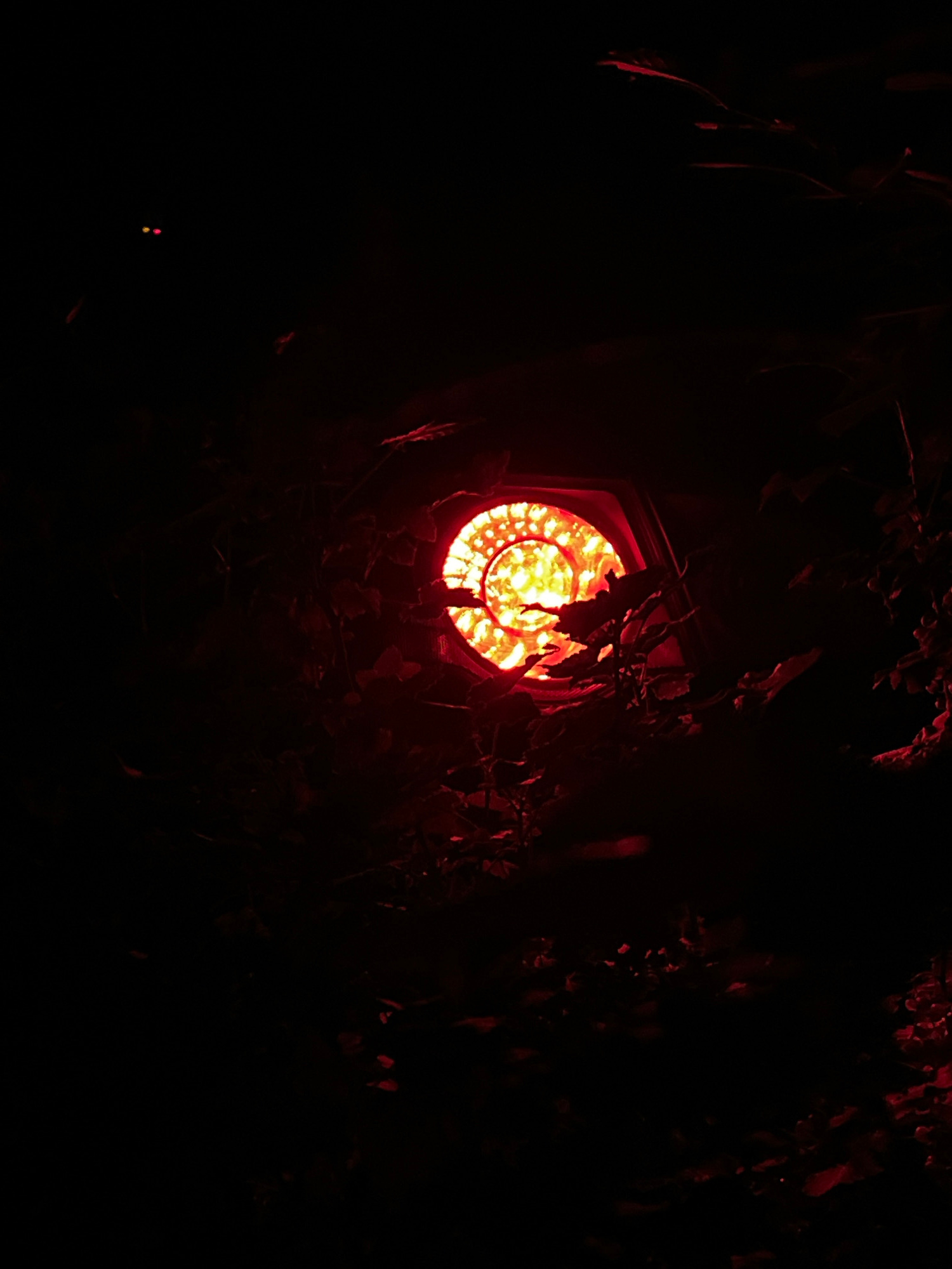 The image shows a round, red light source emitting a bright, yellowish-orange glow from behind foliage in a dark environment. The light source has a patterned, almost stained-glass-like appearance. The surrounding area is obscured by shadows and dark leaves, suggesting an outdoor setting at night. There are two small, faint yellowish-red dots visible in the upper left quadrant of the image, possibly reflections or distant lights, but they are not clearly identifiable. The image does not provide any specific information or visual cues to place it in Lviv, Ukraine, or any other specific city.