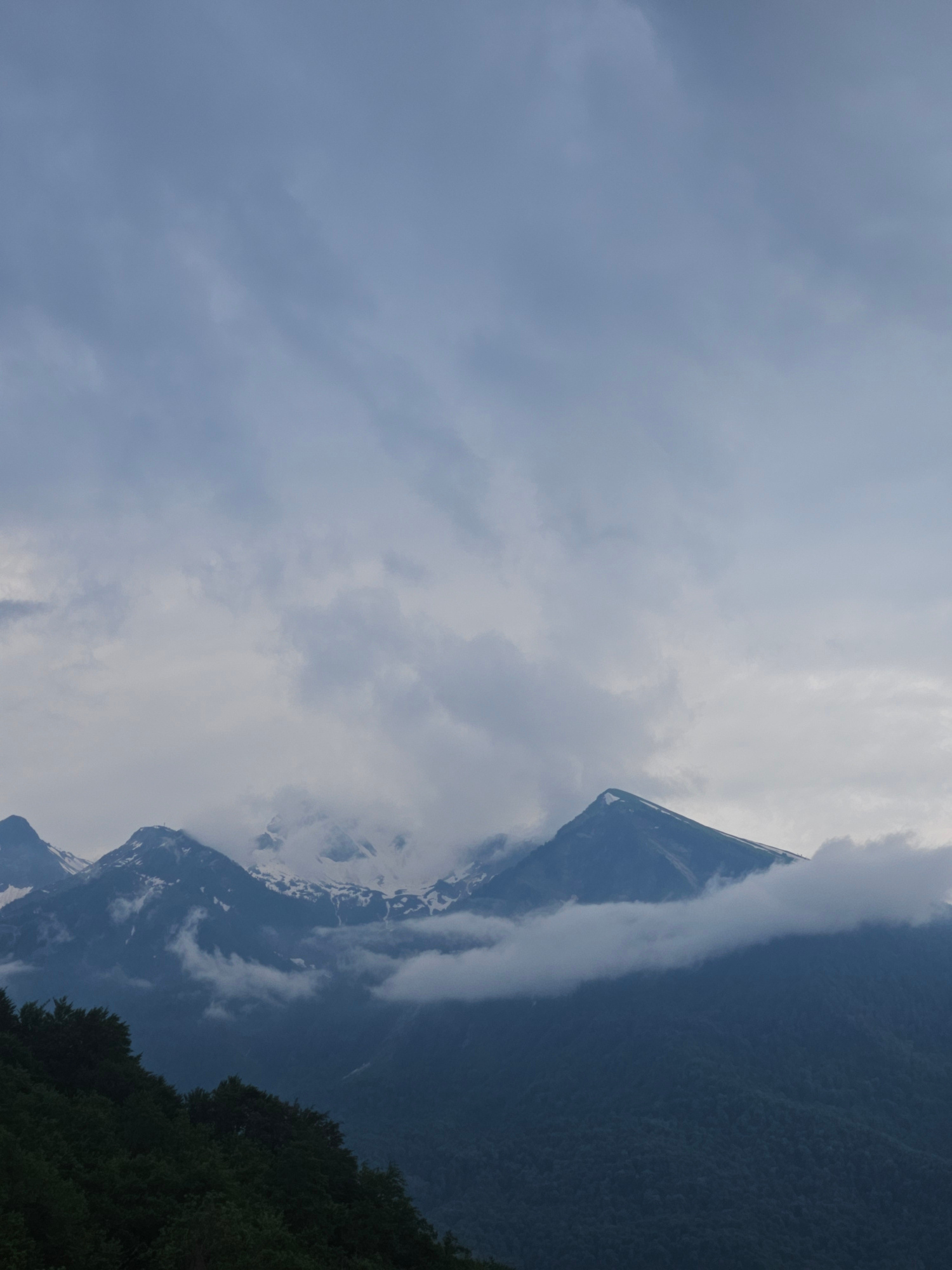 This image captures a dramatic mountainous landscape, likely in Krasnaya Polyana, Russia. The scene is dominated by a steep, jagged mountain peak partially obscured by swirling clouds and mist, suggesting a cool, possibly overcast or rainy day. Snow-capped sections of the mountain are visible, contrasting with the dark, forested slopes. The foreground features dense, dark green foliage, possibly trees or bushes, adding depth and a sense of scale to the imposing mountains. The sky is filled with a thick blanket of grey clouds, diffusing the light and creating a somber, atmospheric mood. There is no text visible in the image. The overall impression is one of raw, untamed natural beauty, with the weather playing a significant role in shaping the dramatic visual. The time of day is unclear due to the overcast conditions, but the soft light suggests it is not midday.