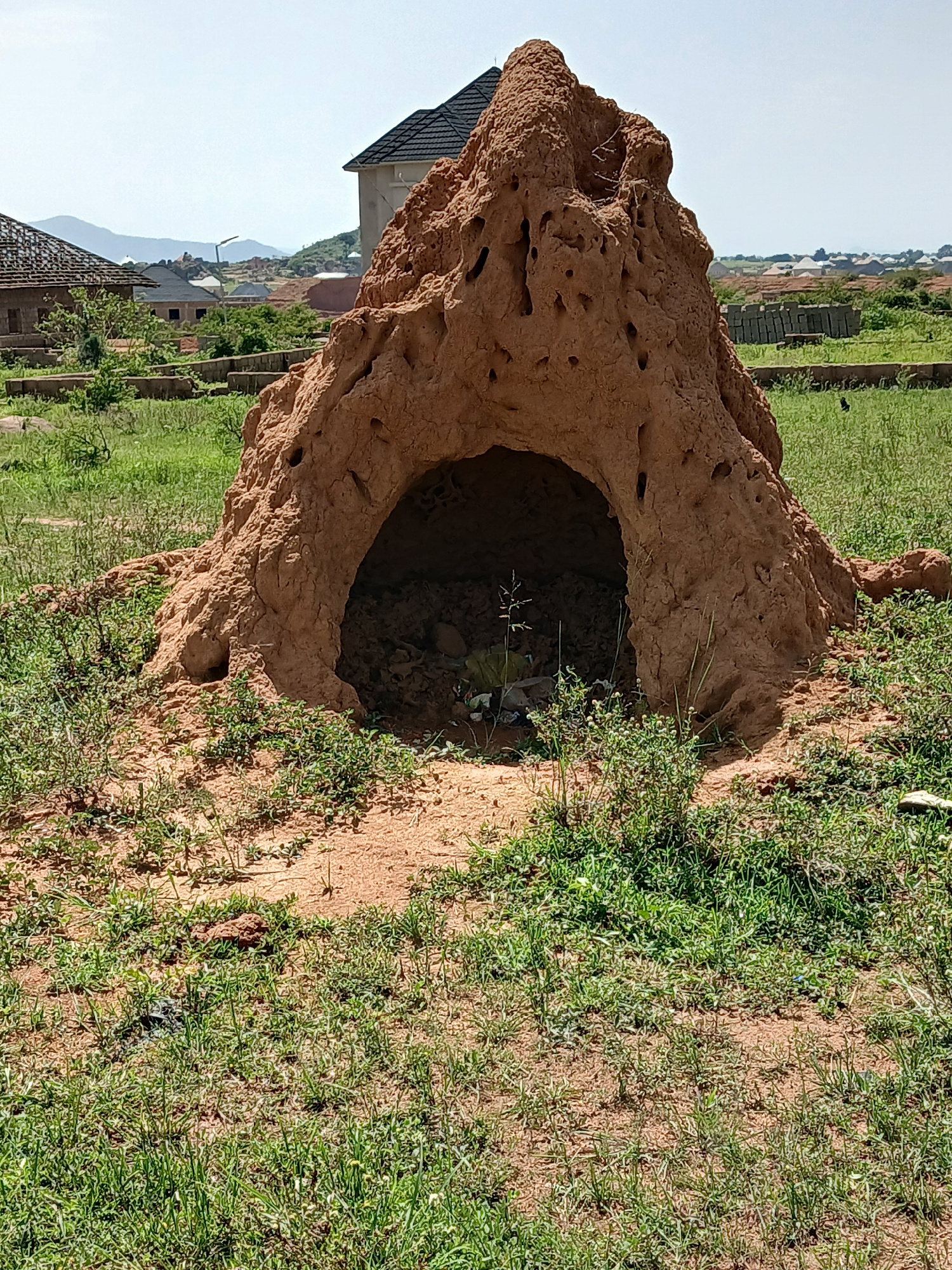 This image depicts a large, brown termite mound situated in a grassy area, likely on the outskirts of Kwang, Nigeria. The termite mound is prominent in the foreground, characterized by its rough, earthy texture and numerous holes. An arched opening is visible at the base of the mound, revealing the dark interior. Surrounding the mound is a field of green grass, with patches of dry, reddish-brown earth visible. In the background, several buildings are under construction, suggesting development in the area. Hills can be seen in the distance under a hazy sky. There are no people or animals directly visible in the immediate vicinity of the termite mound, though a small dark bird is present in the grassy background to the right of the mound. The overall scene suggests a natural environment with ongoing human development.