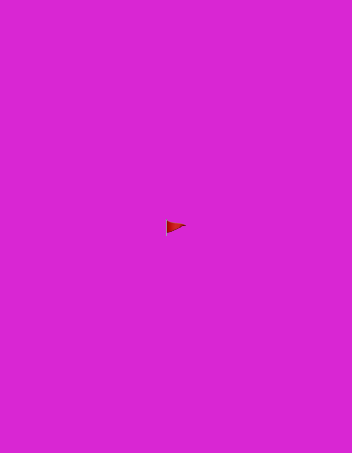 The image shows a solid magenta background with a small, red, triangular flag. The flag is positioned slightly to the left of the center and appears to be floating or suspended in the air. There is no discernible environment or location information present in the image to indicate it is from Mahilyow, Belarus.