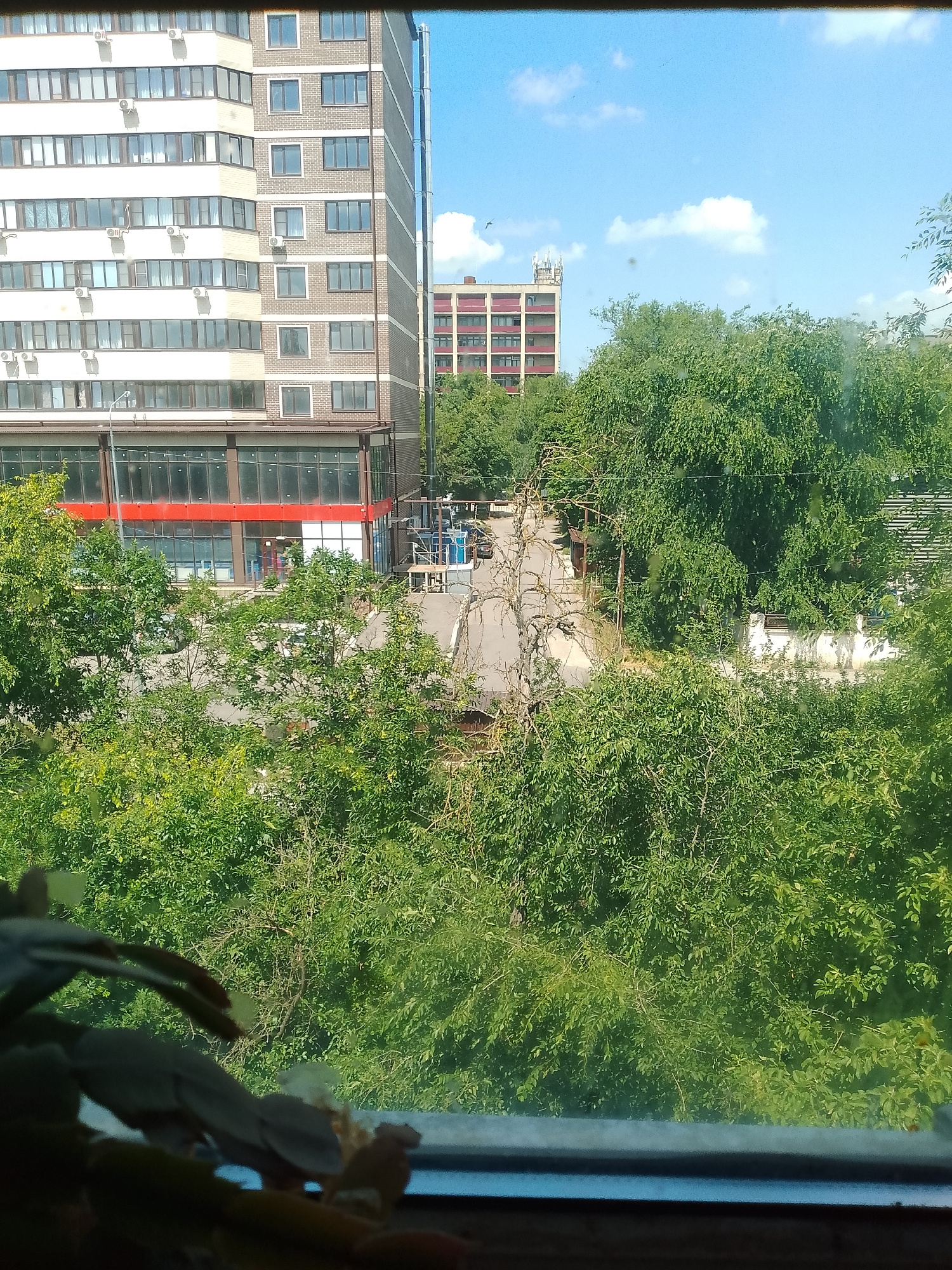 A medium shot captures a view from a window overlooking a street lined with trees in a city. In the foreground, a blurry potted plant is visible on the windowsill. The middle ground features a street winding between lush green trees and a modern apartment building with white and beige facades and numerous windows. In the background, another apartment building with a red facade and white balconies stands under a clear blue sky dotted with fluffy white clouds. The scene suggests a sunny day in an urban residential area.