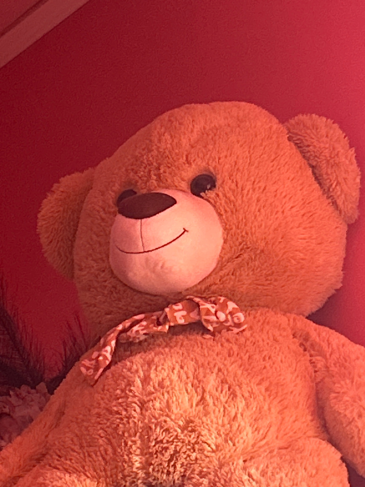 The media file is a close-up, low-angle shot of a light brown teddy bear. The teddy bear is positioned with its head tilted to the left, revealing its face and part of its body. Its fur appears soft and fluffy. The teddy bear has a white muzzle with a stitched black nose and a curved stitched mouth. One black button eye is clearly visible. A decorative ribbon with a light brown and white pattern is tied around its neck. The background is a solid, deep red color, which appears to be a wall or fabric. The lighting suggests an indoor setting. There are no people or any other discernible objects in the frame besides the teddy bear. No text is visible. The overall mood is neutral and perhaps whimsical due to the presence of the teddy bear. The image is a still photograph.