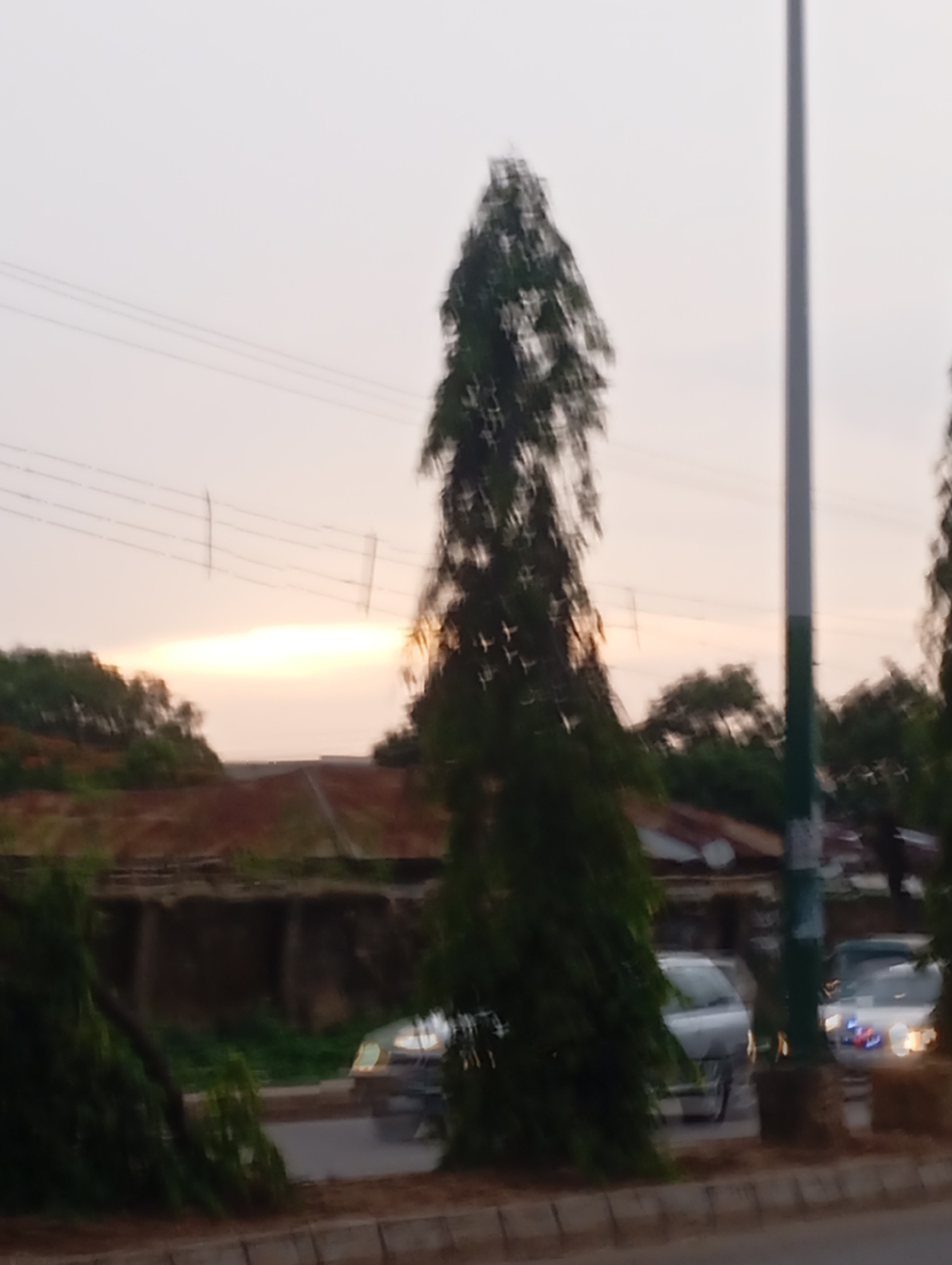 This image depicts a street scene in Jos, Nigeria, likely during a sunset or sunrise. The foreground features a paved road with a concrete median. Two cars are visible on the road; one silver sedan and another vehicle, possibly an SUV, with illuminated headlights and taillights. Lush green trees frame the right side of the scene, with a tall, slender tree prominently in the center. In the background, there are buildings with terracotta-colored roofs and what appear to be utility poles and wires stretching across the sky. The sky is a pale orange and yellow, suggesting twilight. The overall impression is that of an urban environment at dusk or dawn, with active road traffic and residential or commercial structures.