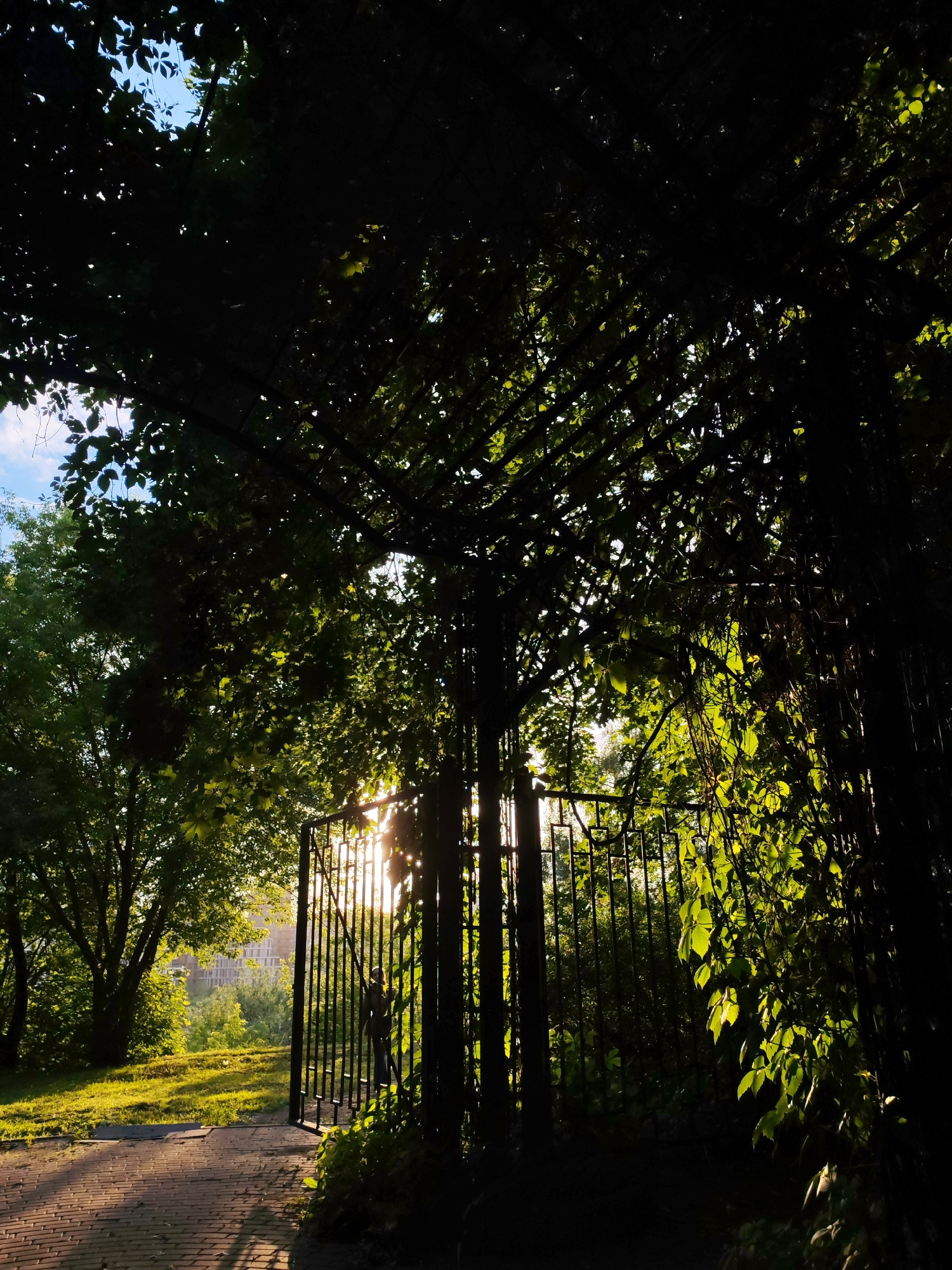 This image depicts an open wrought-iron gate set within a leafy arbor, casting long shadows across a brick pathway in Moscow, Russia. The sun shines brightly through the gate and leaves, creating a silhouette effect and highlighting the vibrant green foliage. In the background, a building with many windows is visible amidst lush greenery. The scene appears to be a park or garden, bathed in the warm light of either sunrise or sunset.
