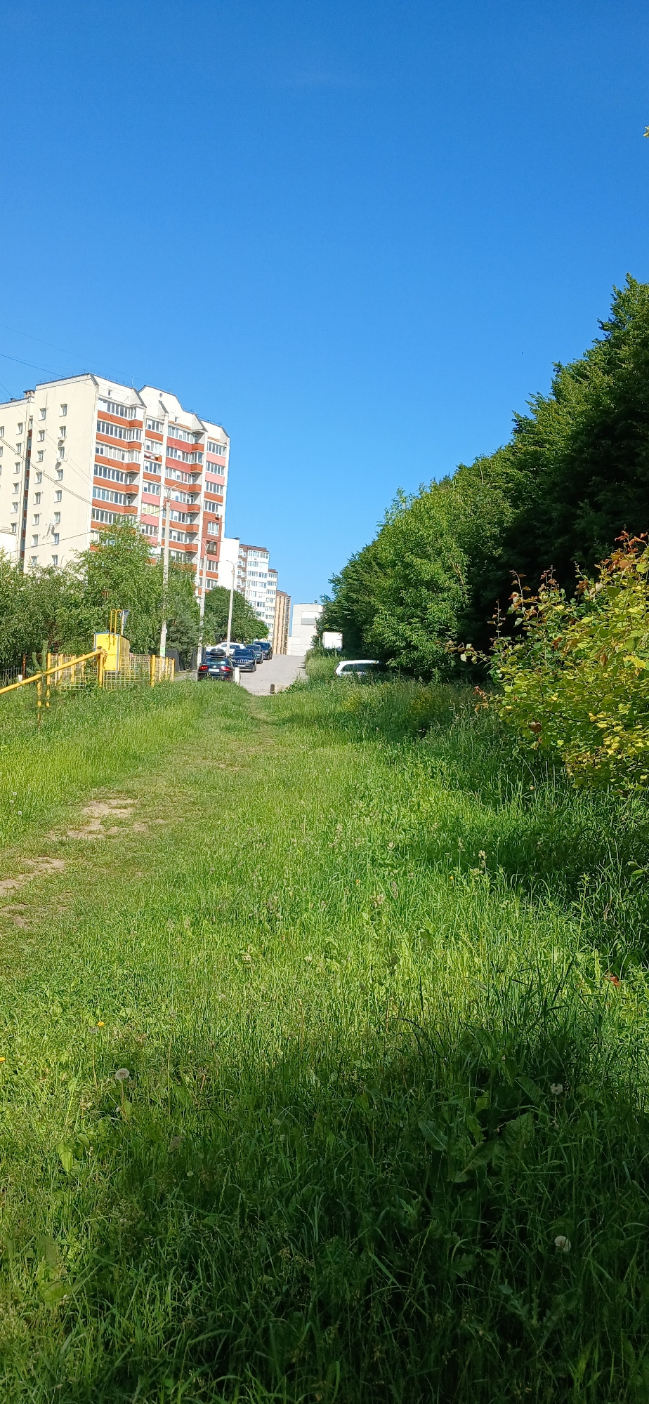 In Khmelnytskyi, Ukraine, a sunlit, upward-sloping scene unfolds. A pathway, bordered by tall, lush green grass and wildflowers, leads towards a street lined with parked cars and apartment buildings. The buildings are multi-story structures with predominantly white and cream facades, accented by red and orange balconies and window frames. A row of dense green trees forms a natural boundary to the right of the scene, their leaves catching the sunlight. The sky above is a clear, vibrant blue.