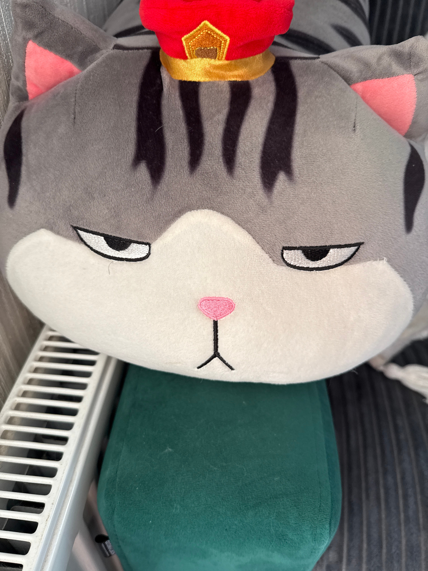 A close-up, head-on shot features a stuffed cat toy with a grumpy expression. The cat is gray with black stripes and pink inner ears. It wears a small red and gold hat. The toy rests against a green surface, with a white radiator visible to the left. The background is dark and textured. There is no information in the image to suggest the location is the city of Perm, Russia.