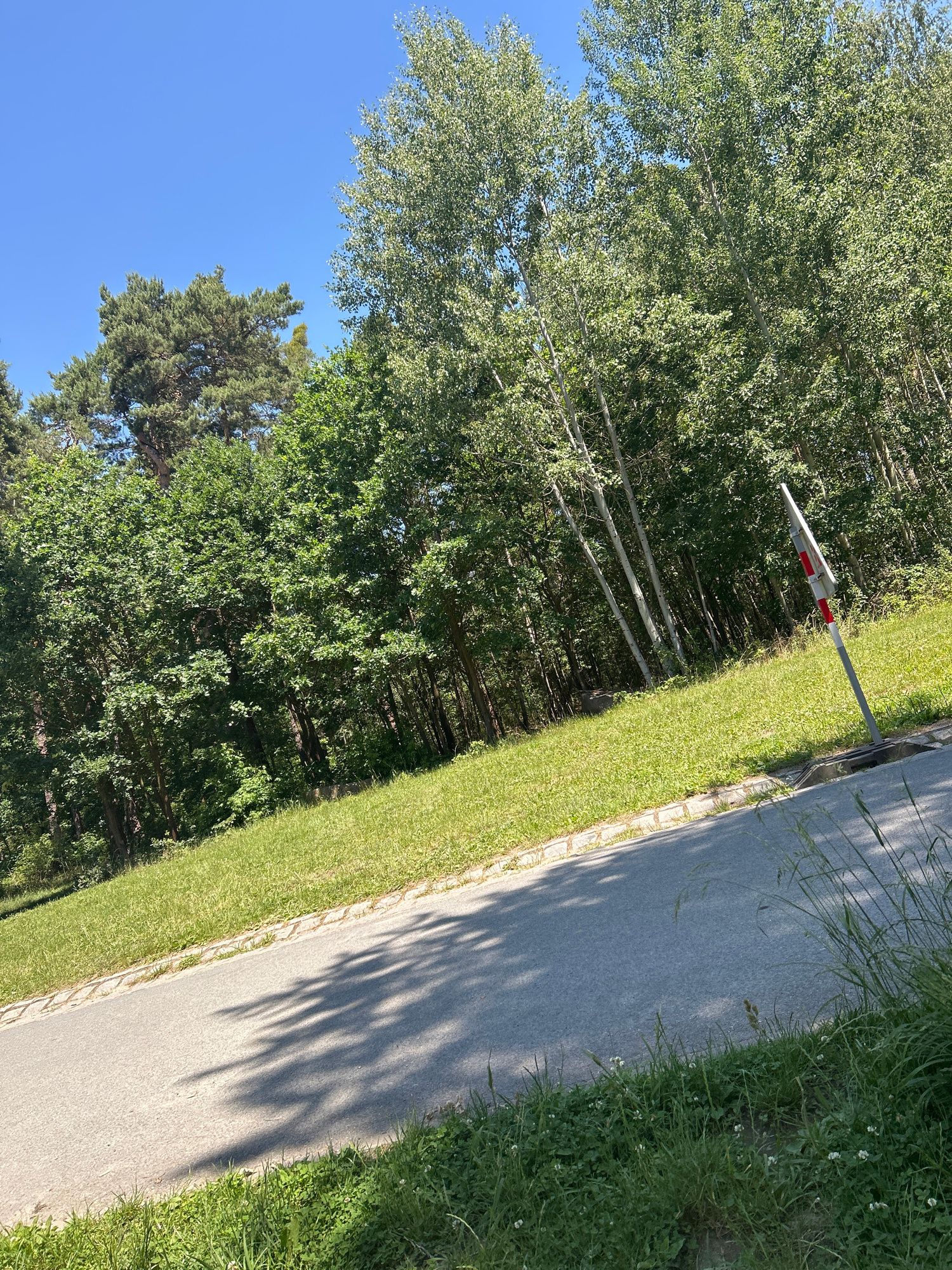 The image depicts a paved road sloping upwards through a grassy area bordered by trees. A white pole with red and white markings, likely a traffic or warning sign, is visible on the right side of the road. The environment suggests a park or natural area within a city. The scene is observed from a low angle, looking towards the road and the treeline. No people are present. The time of day appears to be daytime, with bright sunlight casting shadows from the trees onto the road. The location is not specified within Pilsen, Czechia.