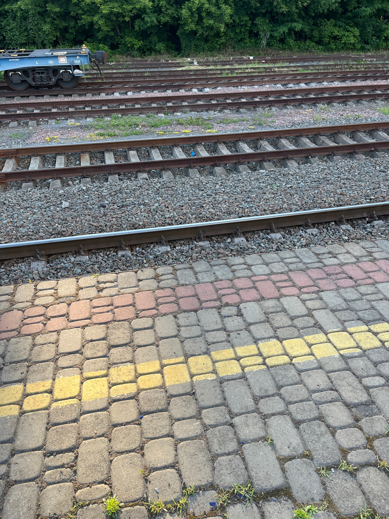 This is a high-angle, vertical-format image of multiple parallel train tracks next to a paved pedestrian area. The tracks are made of metal rails supported by concrete sleepers and are covered with gravel. To the right of the tracks is a sidewalk paved with rectangular interlocking stones in shades of grey, pink, and yellow. The yellow stones appear to form a dashed line, possibly indicating a safety zone. Greenery, including trees and grass, is visible along the left side of the tracks and in small patches between the paving stones.
In the foreground, on the left side of the image, a portion of a dark blue train car is visible, resting on the tracks. Text is visible on the side of the train car, including Cyrillic lettering such as "АВТОРЕГІ" and numbers like "5620" and "06".
The lighting suggests it is daytime, possibly late afternoon due to the warm tone of the sunlight casting shadows on the paving stones. The scene appears to be a train station or a railway yard in Kyiv, Ukraine, given the location context. No people are visible in the image, and the overall mood is neutral and observational. The image focuses on the infrastructure of the railway and its immediate surroundings.