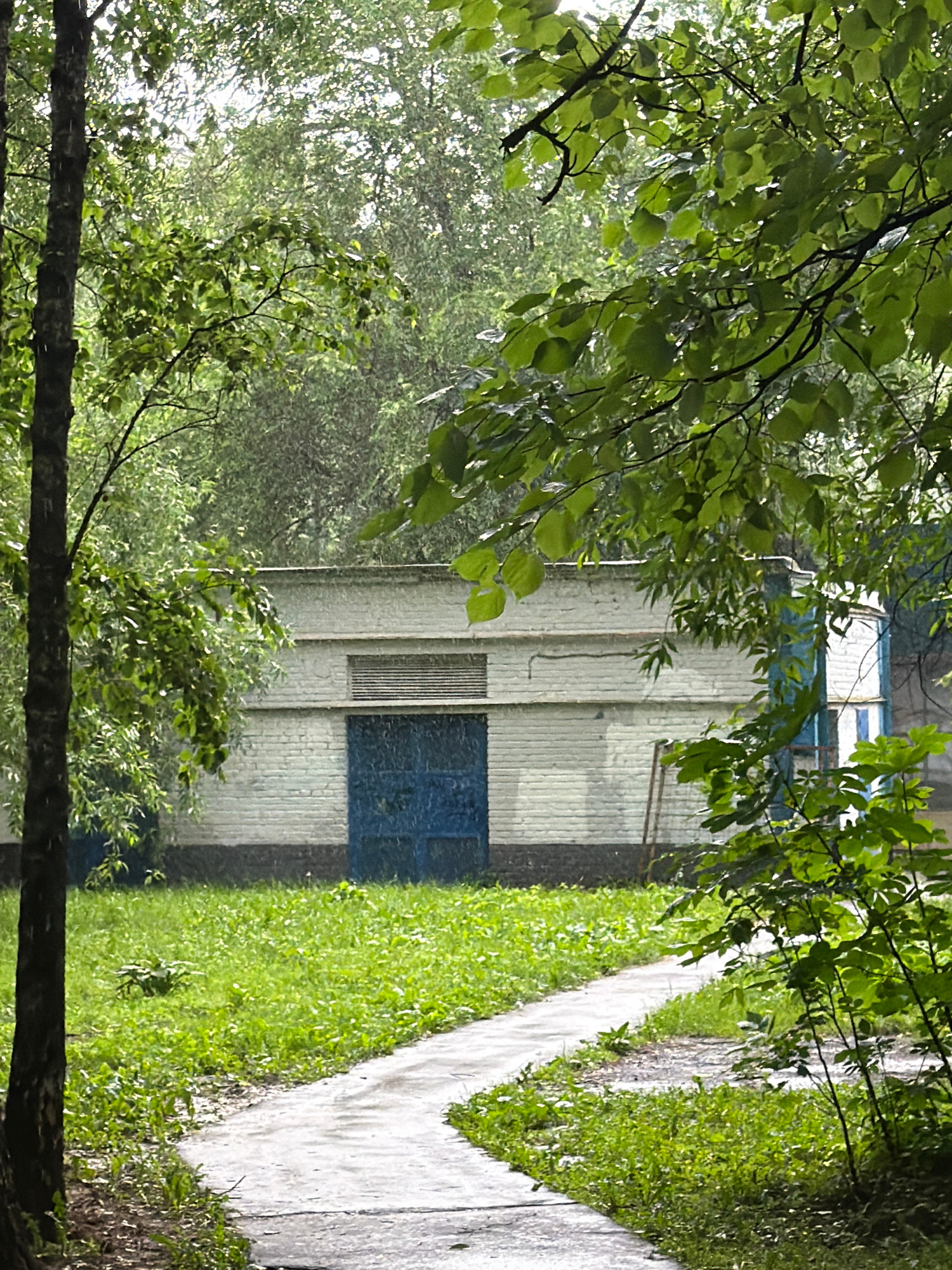 This image depicts an outdoor scene featuring a narrow pathway bordered by lush green grass. To the left of the pathway stands a building with a light-colored, brick-like facade and a dark blue rectangular section. Above this section, there is a rectangular vent or grate. The top of the building is partially obscured by a blue and white structure, possibly part of a roof or another building element.
The foreground and sides of the image are dominated by the foliage of trees, with vibrant green leaves and dark branches. These branches partially frame the view of the building and pathway, creating a sense of depth and natural encroachment. The lighting suggests it is daytime, with sunlight filtering through the leaves, creating dappled patterns. The presence of green grass and abundant foliage hints at a warmer season, likely spring or summer.
The scene appears to be in an urban or suburban setting, given the presence of the building and pathway, and the foliage suggests a park-like or residential area. There are no visible people or animals in the image. The overall mood is tranquil and natural, with the greenery providing a soft contrast to the man-made structure. The image is oriented vertically, with the pathway and building running from bottom to top on the right and center respectively. No visible text is present in the image. The location context is Moscow, Russia.