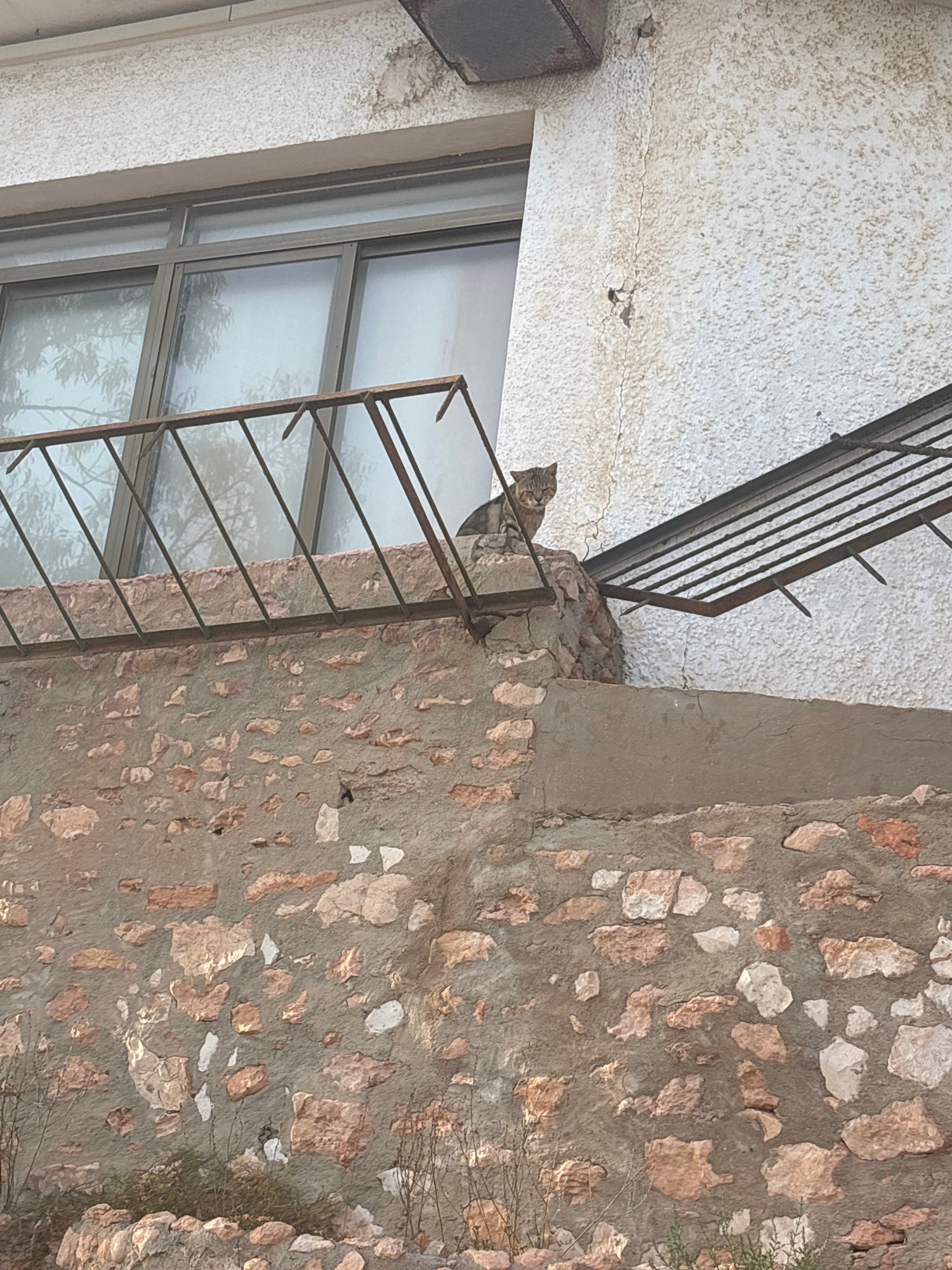 An outdoor, low-angle, medium shot captures a tabby cat perched on a stone ledge, resting on a brick wall, and the facade of a building. The cat is looking down and to the left of the frame. In the background, the cat is partially obscured by a metal railing. The building facade is composed of white speckled plaster, with some water damage and cracks visible on the upper portion. A window with multiple panes is visible to the left of the cat. A metal awning juts out to the right of the cat. The stone ledge is made of rough-hewn rocks and mortar, and below it, a wall is constructed with irregularly shaped stones and mortar. Dry, sparse vegetation is visible at the bottom of the frame. The scene is illuminated by natural light, casting shadows that suggest it is daytime.