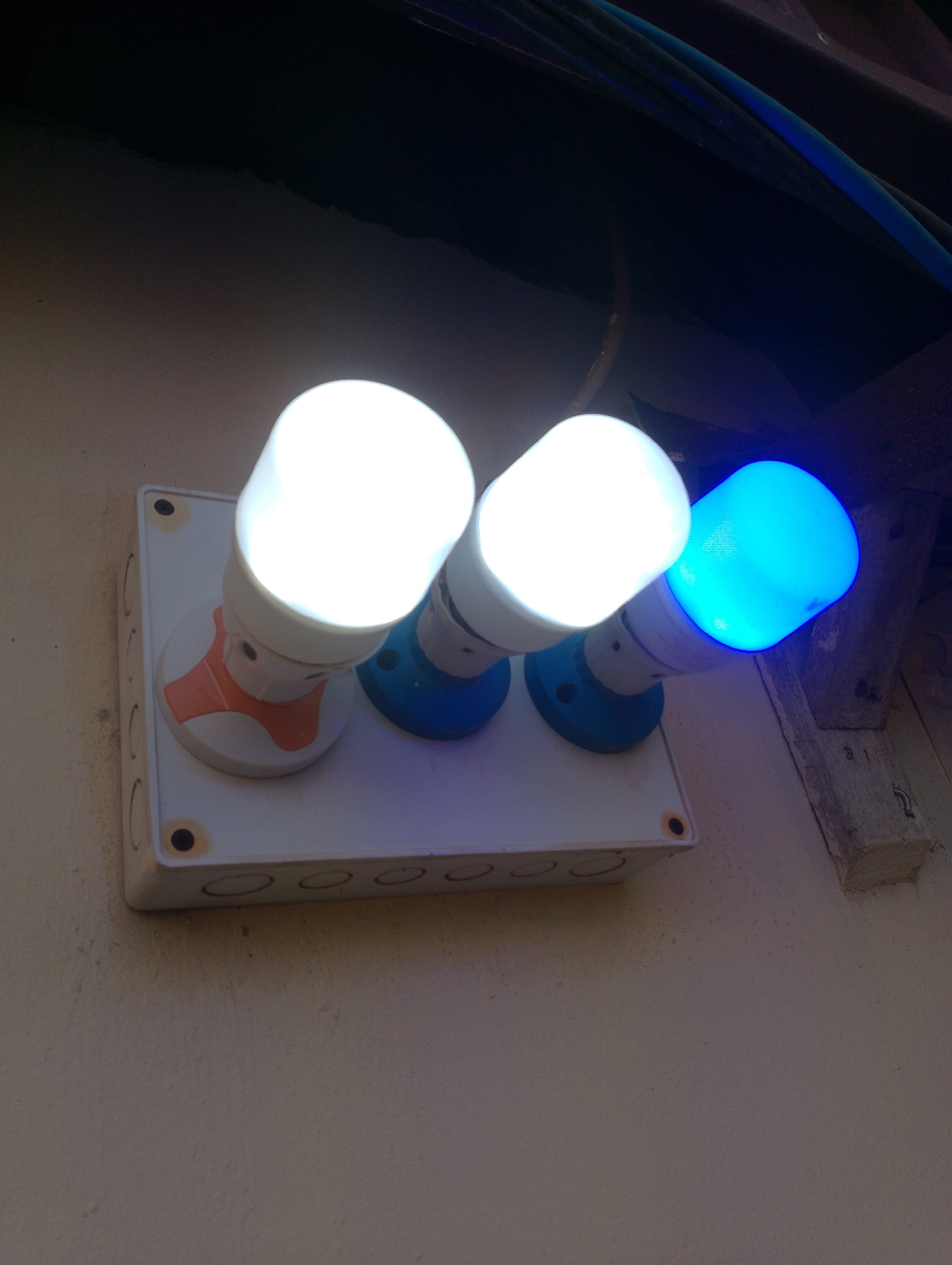 Three LED light bulbs are screwed into a white electrical junction box mounted on a beige wall. Two of the bulbs are bright white, and the third bulb on the right is a bright blue. The junction box has four circular knockouts on its left side and two screw holes visible on the top surface. The bulbs are angled slightly upwards and to the left. Wires, including a blue one, are visible above the junction box against a dark background. The scene appears to be outdoors or in a dimly lit interior space.