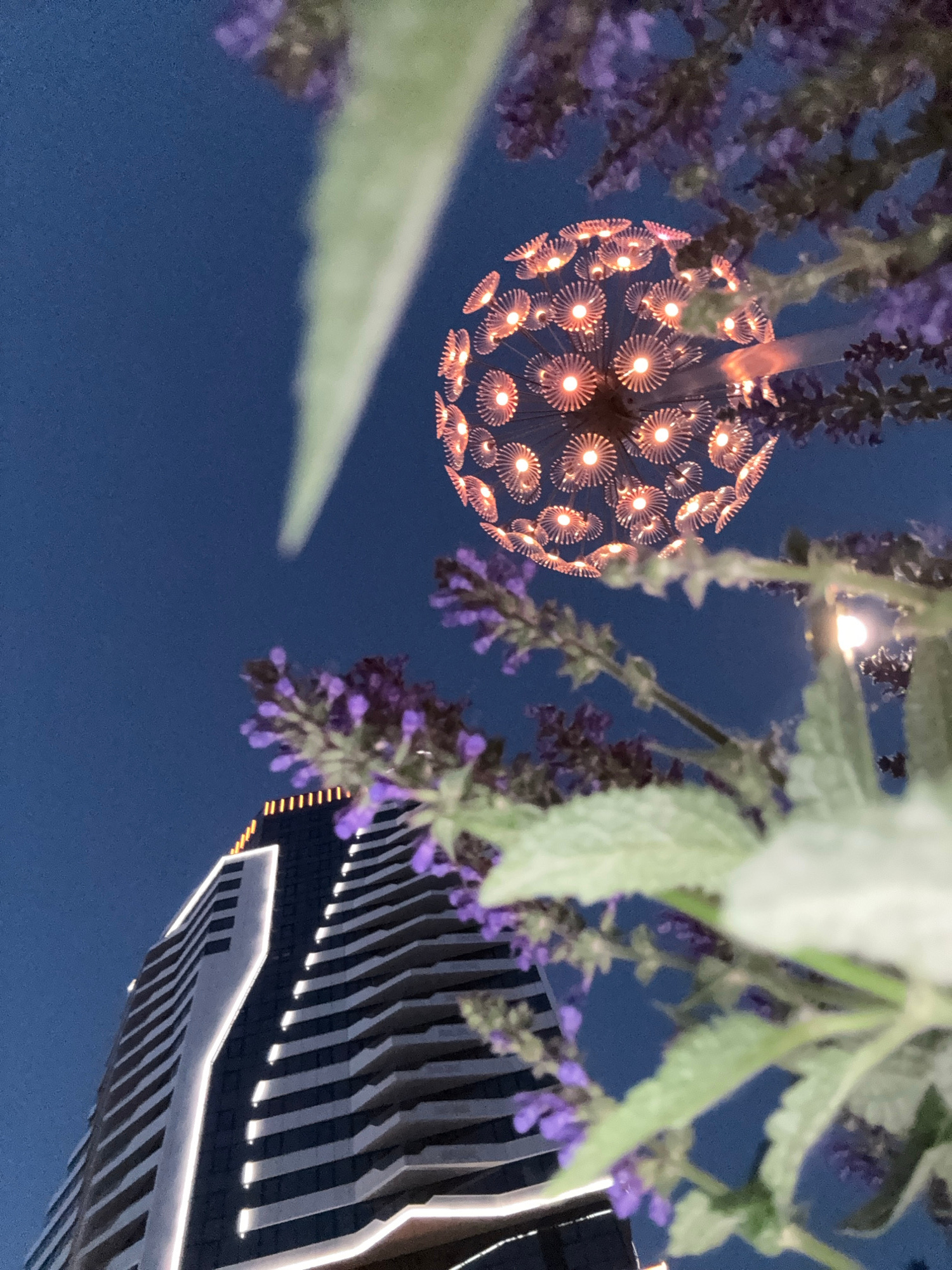 The image shows a modern skyscraper with a dark facade and white lighting accents against a deep blue twilight sky. In the foreground, out-of-focus purple flowers and green leaves are visible. Above the building and to the right, a spherical light fixture resembling a dandelion or starburst, illuminated with warm orange lights, is suspended. The composition suggests an urban night scene in Yekaterinburg, Russia, possibly from a lower vantage point looking upwards, with decorative elements framing the architectural subject.