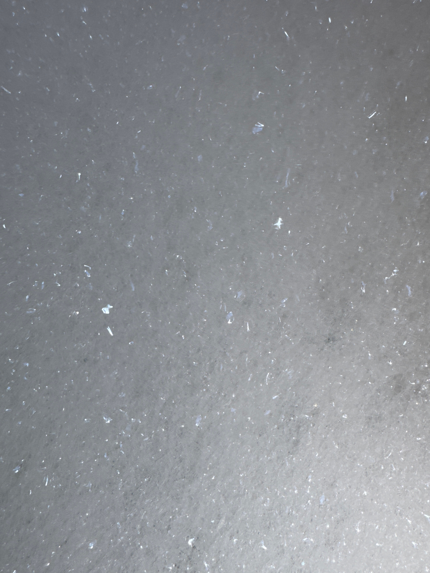 The image is a close-up, abstract view of foam. The foam is a pale, grayish-white color and appears to be composed of numerous small bubbles. Scattered throughout the foam are tiny, reflective particles that catch the light, appearing as bright specks. These particles are irregular in shape and size, with some elongated and others more like small flakes. The lighting is soft and diffused, creating a somewhat ethereal quality. The overall impression is of a textured, airy surface.
This image does not contain any identifiable features that would allow for its location to be determined in the city of Desborough, United Kingdom, or any other specific location. There are no people, subjects, objects, or actions depicted that are characteristic of a particular place.