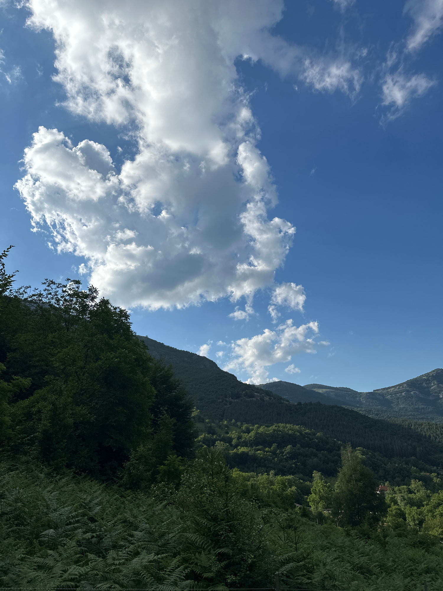 The image shows a mountain landscape under a blue sky with scattered white clouds. In the foreground, lush green ferns and trees dominate the scene. The middle ground is filled with dense green forests covering rolling hills. In the background, more distant mountains are visible, their slopes also covered in vegetation. The overall impression is one of a natural, undeveloped area. The image does not contain any people or specific urban structures that would allow for pinpointing a location within Vratsa, Bulgaria. The scene depicts a natural environment, likely a mountainous region on the outskirts or within the natural park surrounding the city.