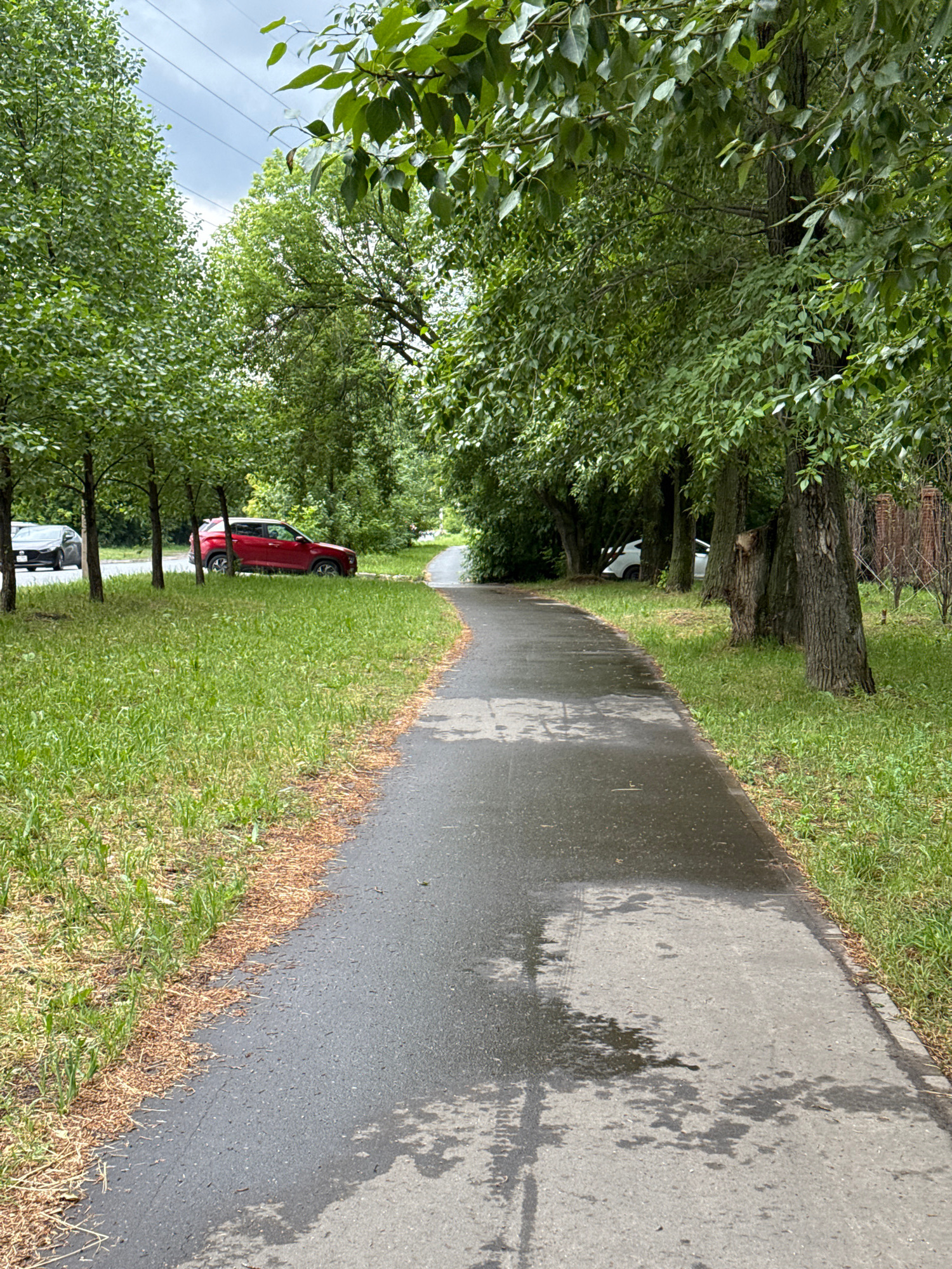 The image depicts a paved pathway curving through a green, tree-lined area. On the left side of the pathway, there is a grassy verge bordering a street where two cars are visible, one red and one black. The pathway itself appears wet, suggesting recent rain. The trees are lush and leafy, creating a canopy overhead, and the sky is overcast with visible power lines. The scene is consistent with a park or a residential street in Kazan, Russia.