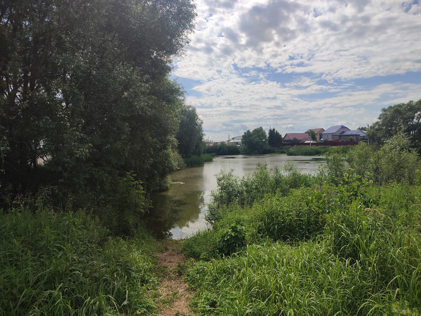 A wide-angle, eye-level shot captures a serene lakeside view under a partly cloudy sky. On the left, a dense cluster of dark green trees creates a shadowed border. A narrow, light brown dirt path leads down to the water's edge, surrounded by tall, lush green grass. The lake itself is a murky green, with patches of what appear to be algae or aquatic plants on its surface. Across the water, a line of trees and bushes partially obscures a row of houses with colorful roofs, suggesting a residential area bordering the natural landscape. The sky is a mix of bright blue patches and large, fluffy white clouds, with a few thin, dark lines that could be utility wires stretching across the upper portion of the frame. The overall impression is one of a tranquil, undeveloped natural space adjacent to a suburban or rural settlement.