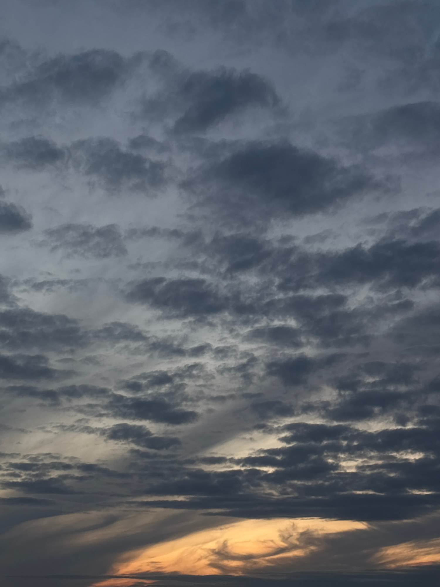 The media file displays a dramatic sky filled with varied cloud formations, presented in a vertical (portrait) orientation. The left side of the image features dense, dark grey and blue-grey clouds, appearing somewhat uniform and heavy. Moving towards the center, the cloud patterns become more textured, showcasing lumpy and streaky formations that range from deep grey to lighter shades, indicating varying thickness and light exposure.
On the far right, a prominent band of golden-orange light cuts vertically through the scene, illuminating the edges of the clouds and suggesting the low angle of the sun, characteristic of either dawn or dusk. This warm light creates a striking contrast with the darker, shadowed undersides and masses of the clouds. The clouds in this section appear more elongated, wispy, and turbulent, indicative of dynamic atmospheric conditions.
The image captures a horizonless view of the sky, focusing solely on the natural phenomenon of cloudscapes. No people, man-made objects, or text are visible. The weather appears to be partly to mostly cloudy. The location context provided is Minsk, Belarus.