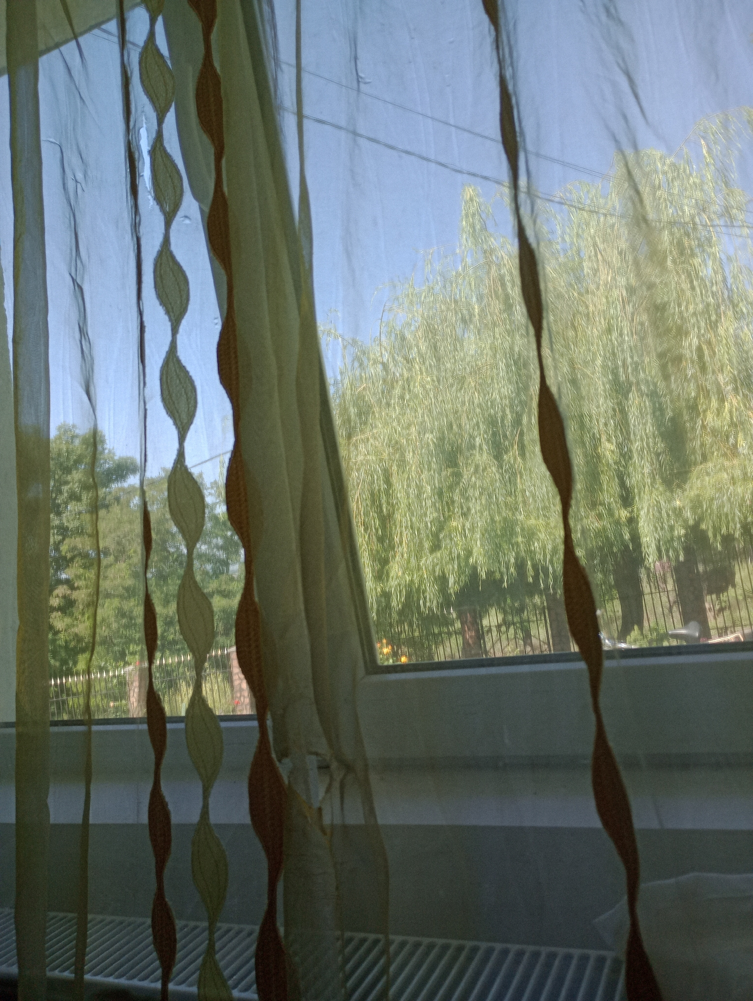 The image shows a view through a window with sheer curtains in the foreground. The curtains have a decorative pattern of oval shapes. Through the curtains, a tree with drooping branches, possibly a willow, is visible against a blue sky. A fence can be seen behind the tree. Below the window, a radiator is visible. The scene is likely indoors looking out onto a garden or yard. The image is taken in Bârnova, Romania.