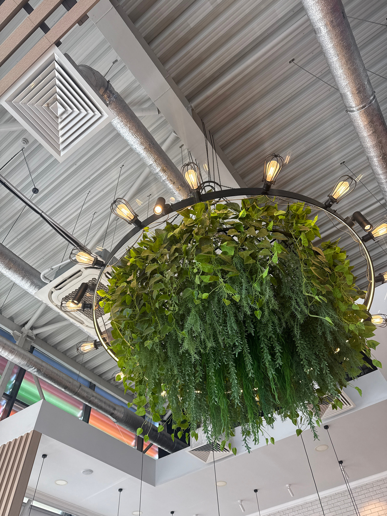 This image shows a ceiling interior with a large, circular chandelier featuring an abundance of artificial green plants cascading down. The chandelier is adorned with numerous Edison-style light bulbs housed in wire cages. Exposed metallic ductwork and ventilation grilles are visible on the corrugated metal ceiling, typical of an industrial or modern commercial space. There are no people or discernible actions in the frame. The scene appears to be an interior setting, possibly a restaurant or cafe, with a decorative chandelier as the focal point. The provided crops highlight details of the ventilation system and the chandelier's lighting elements and plant arrangement. No specific location in Orenburg, Russia can be determined from the image alone.