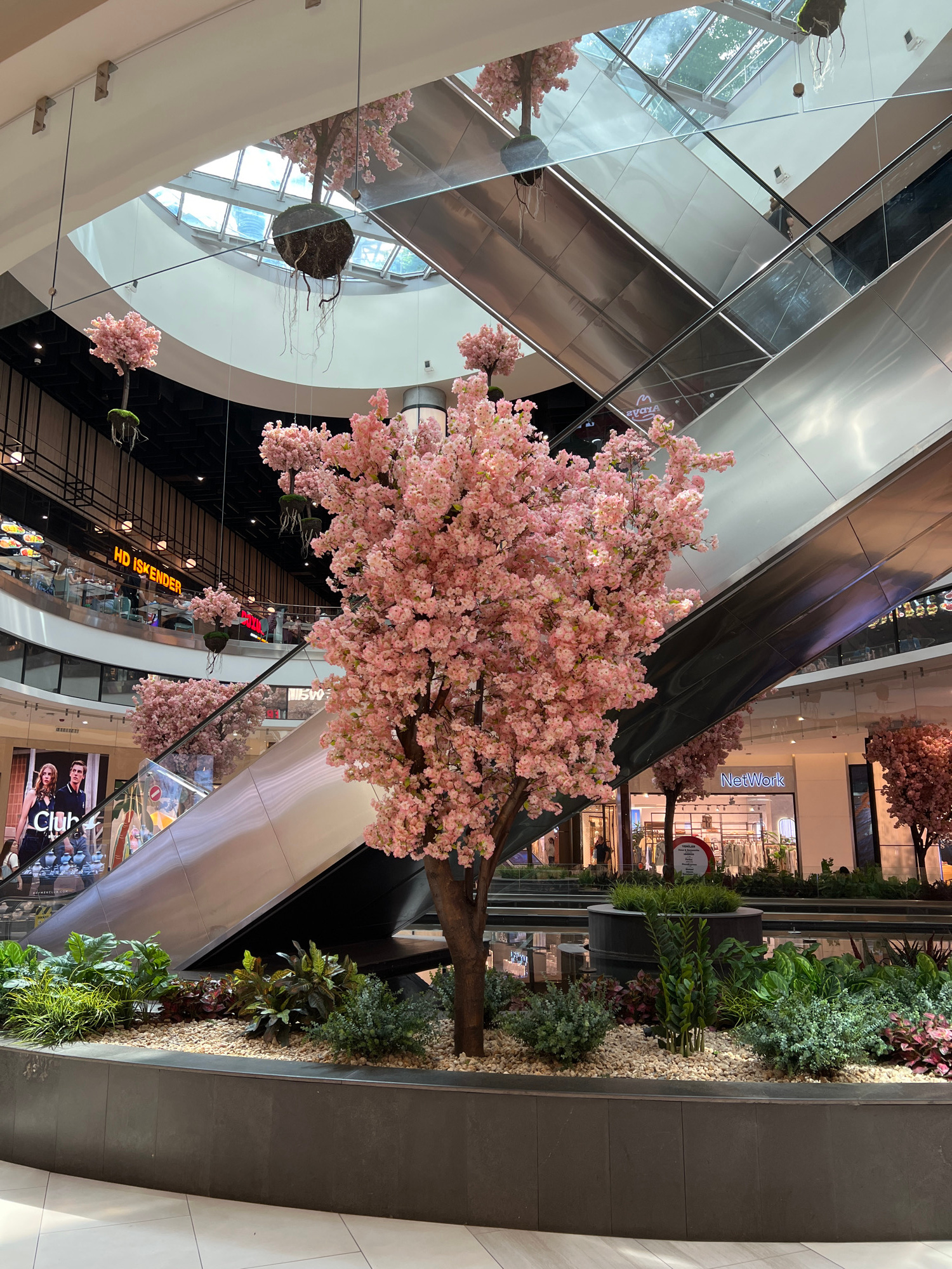 The image shows a modern shopping mall with a large, artificial cherry blossom tree as the central subject. The tree, with its delicate pink blossoms and brown trunk, is positioned in the foreground, obscuring parts of the mall's architecture. The mall features multiple levels with escalators, reflective surfaces, and storefronts.
In the background, various shops are visible, including one with a "NetWork" sign and another labeled "HD İSKENDER." There are also several people scattered throughout the mall, though they are not the primary focus. In the upper part of the image, some of the mall's ceiling and structural elements are visible, including windows that suggest it is daytime. The scene is well-lit, typical of an indoor commercial space.
The overall impression is one of a vibrant and contemporary shopping environment enhanced by decorative elements like the cherry blossom tree and greenery. The image is captured from a low angle, looking upwards, which emphasizes the height and scale of the mall and the tree.