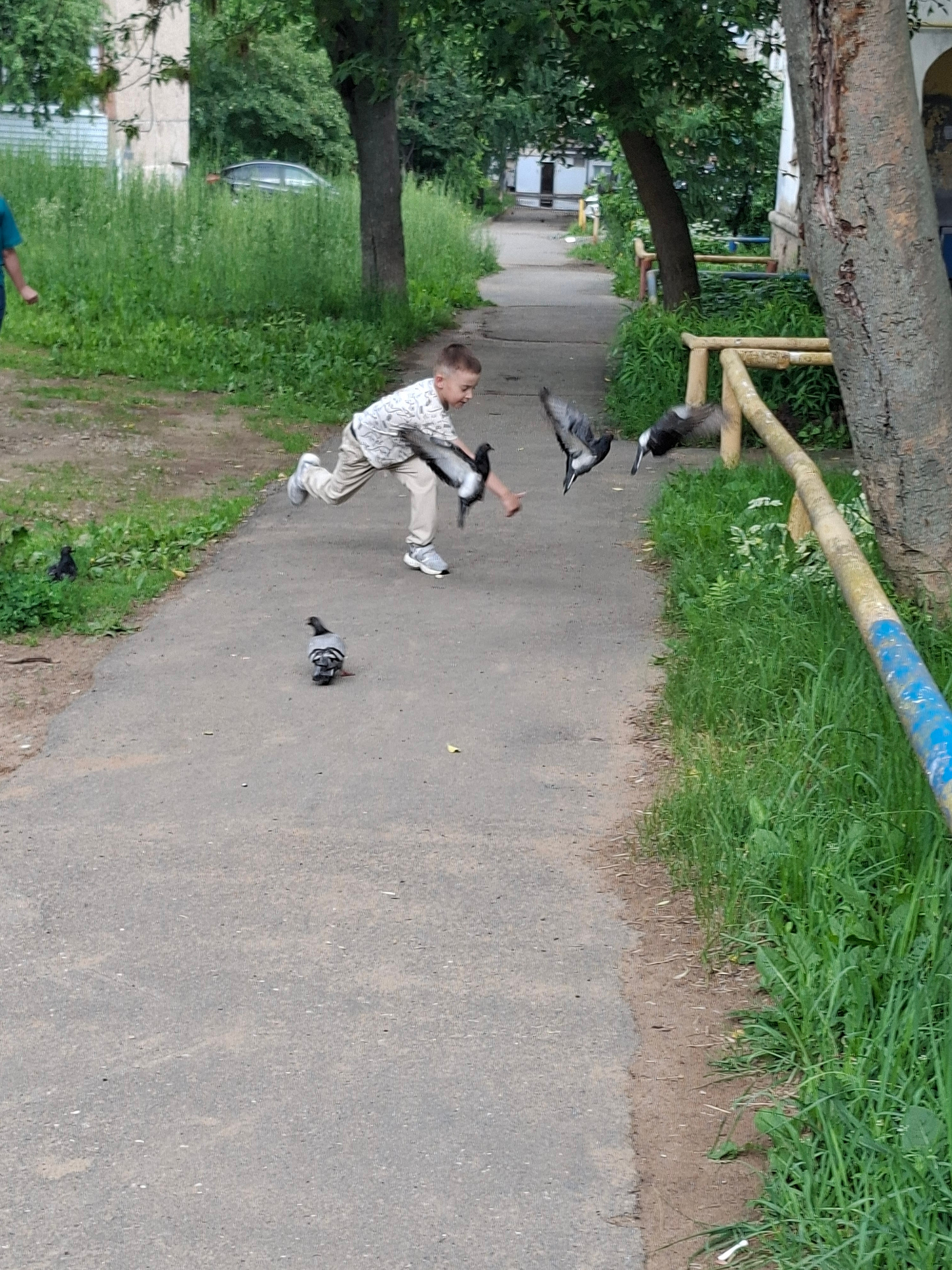 A young boy is captured mid-stride on a paved path, his body leaning forward as if to chase pigeons. He is wearing a light-colored patterned t-shirt and beige pants, with athletic shoes on his feet. Several pigeons are in flight around him, some with wings spread, suggesting they are startled or taking off. One pigeon is stationary on the path in the foreground, facing away from the boy. The path is bordered by a strip of dry dirt and then lush green grass, which continues beyond a wooden fence with yellow and blue railings. Trees with dark bark and green foliage line the right side of the path, and in the background, a building with a light-colored facade is visible amidst dense greenery. The overall setting appears to be a residential area or park in Izhevsk, Russia, indicated by the architecture and vegetation.