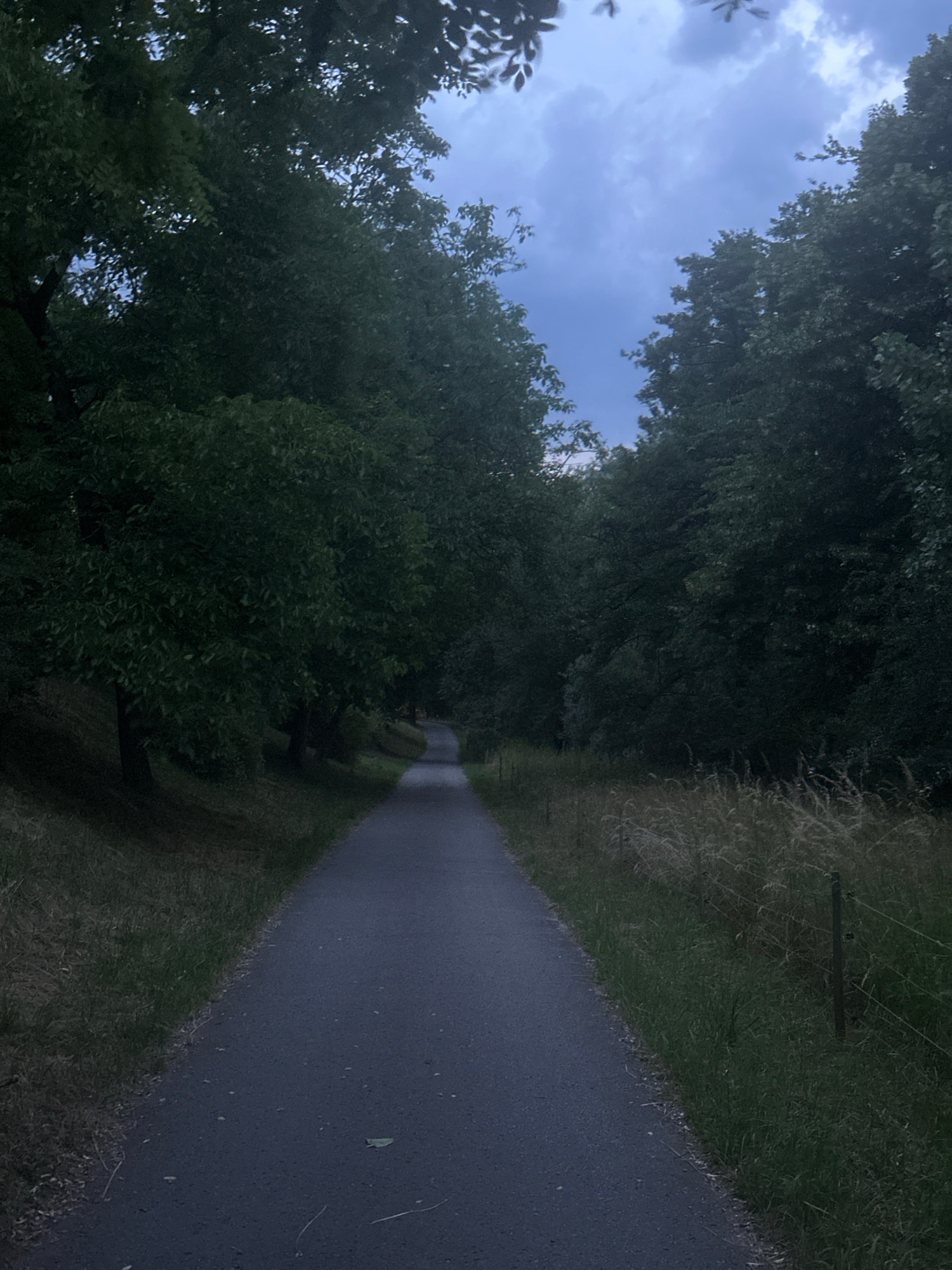The image depicts a paved pathway winding through a park-like setting, flanked by dense, dark green foliage on either side. The sky above is a muted blue with some scattered clouds, suggesting it is either early morning or late evening. The pathway is empty of people. On the right side of the pathway, a dry, grassy area with a simple wire fence is visible. The overall atmosphere is serene and natural. This scene could be representative of a pathway in the Blühendes Barock, a palace garden in Ludwigsburg, Germany, known for its extensive green spaces and walking paths.