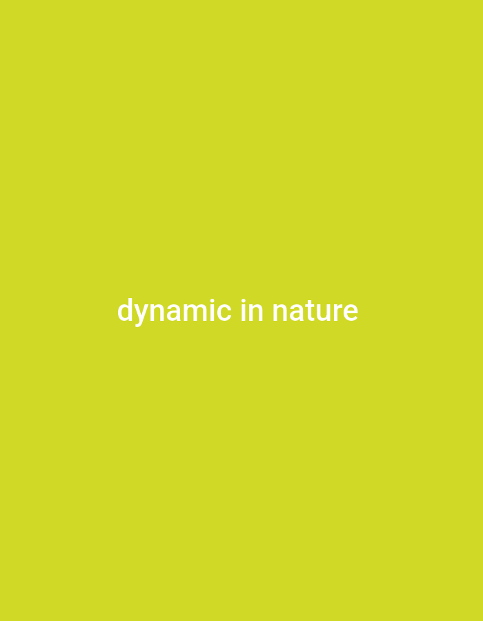 The image is a solid, bright yellow-green background with the words "dynamic in nature" written in white, sans-serif font in the center. There are no people, objects, or specific environmental details present in the image. The location of Zinna, Nigeria is not depicted or suggested in any way by the visual content of the image.