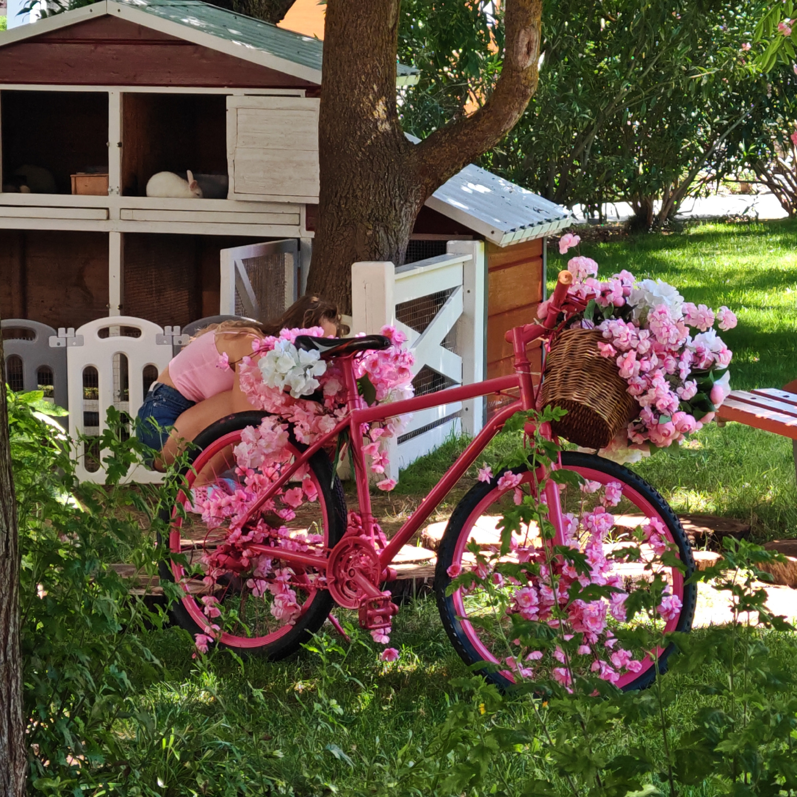 This media file captures a charming scene with a bright pink bicycle adorned with numerous artificial pink and white flowers. The bicycle is the central object, with its wheels, frame, handlebars, and basket overflowing with floral decorations. A wicker basket sits on the handlebars, also filled with a large bouquet of pink and white blossoms.
In the background, a child is partially visible, wearing a pink top and denim shorts. They are bending over, appearing to interact with something behind a white fence. To the left of the bicycle and behind the child is a multi-level, white and red pet house, possibly a hutch for small animals. A white picket fence segment is also visible.
The setting appears to be an outdoor garden or yard, with lush green grass and trees providing a natural backdrop. The sunlight suggests it is daytime, with dappled light filtering through the foliage. The overall mood is whimsical and cheerful, enhanced by the vibrant colors of the bicycle and flowers.
There is no visible text in the image. The location context provided is городское поселение Щелкино, Ukraine.