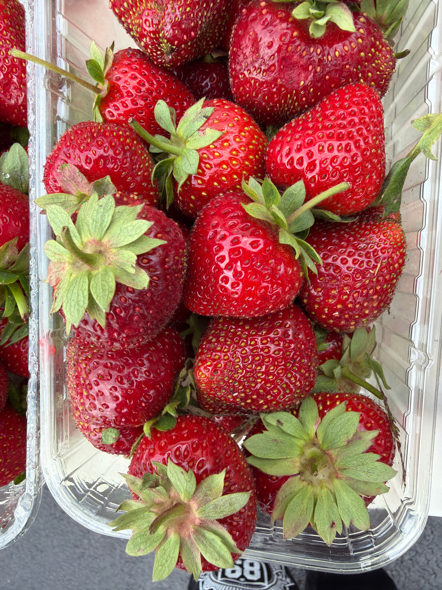 A close-up, overhead shot captures a clear plastic container filled with fresh, bright red strawberries. The strawberries are plump and juicy, with visible seeds dotting their surfaces. Many of the fruits still have their green stems and leafy calyxes attached, adding a vibrant contrast to the red. The container itself is simple, with a slightly textured bottom and clear, smooth sides that show some condensation. The strawberries are packed tightly together, filling the container from edge to edge, and some spill over into the adjoining container visible on the left. The background is out of focus, suggesting an outdoor setting with a dark, possibly asphalt or pavement surface. The lighting appears natural, highlighting the ripeness and sheen of the fruit. There are no people or animals visible in the frame.