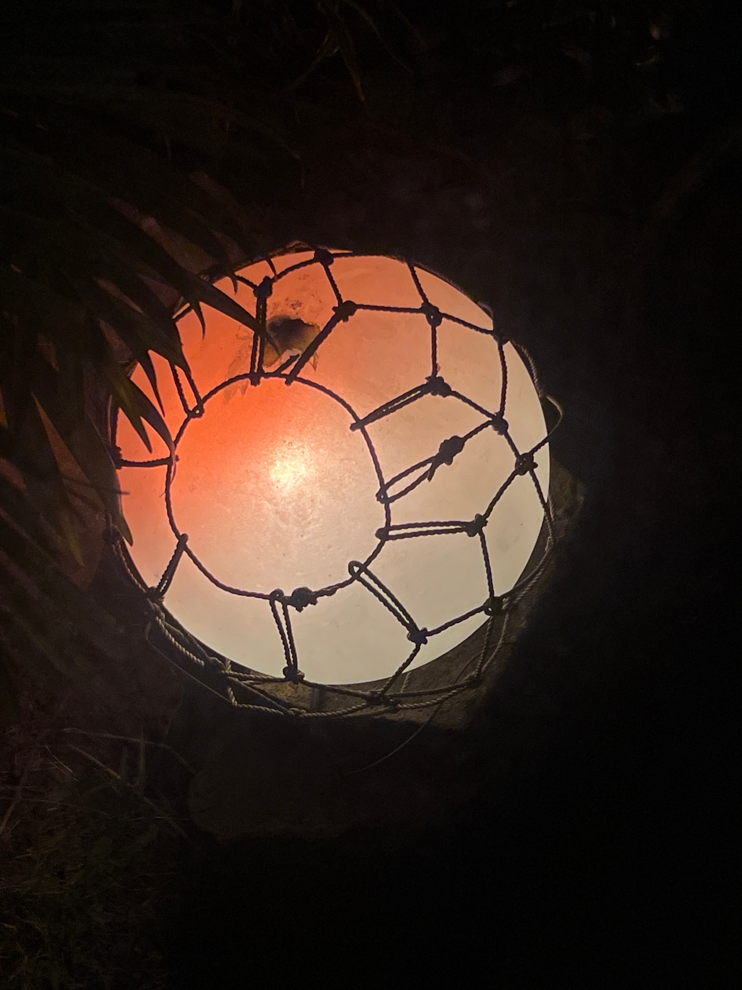 A glowing, spherical object, possibly a lantern or buoy, is illuminated from within, casting a warm orange light that transitions to a pale white towards the top. The sphere is encased in a rough, knotted netting made of thick, dark rope. The netting creates a grid-like pattern over the surface of the sphere. In the foreground, dark, silhouetted foliage, possibly palm fronds or similar tropical plants, partially obscures the lower part of the object. The background is dark and indistinct, suggesting a nighttime setting. The overall mood is somewhat mysterious and atmospheric due to the low light conditions and the glowing orb. The context of "Abang, Indonesia" might suggest a coastal or tropical environment where such an object could be found.