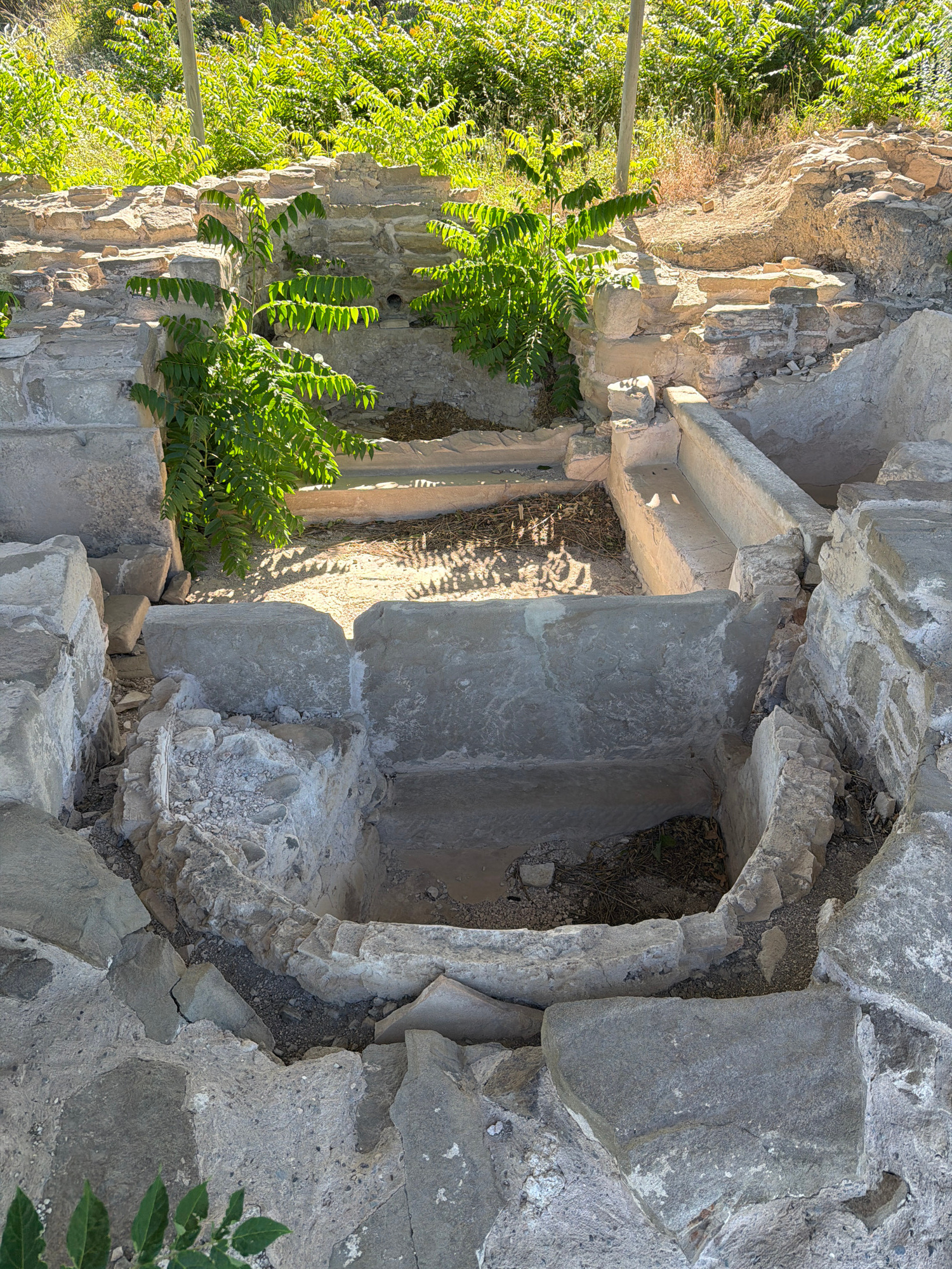 This is a close-up, vertical-oriented shot of ancient stone ruins in Mtskheta, Georgia. The scene is dominated by the rough, grey texture of weathered stone blocks and the bright green foliage of plants growing around and within the structures. Sunlight casts sharp shadows, indicating a clear day and likely mid-morning or afternoon.
The ruins appear to be part of a historical building or structure, possibly an old church or dwelling, given the context of Mtskheta being a significant historical and religious center. The stones are unevenly cut and stacked, with evidence of erosion and damage over time. Some sections show arched openings and recessed areas, suggesting architectural elements like niches or doorways.
The vibrant green plants, with their fern-like leaves, provide a stark contrast to the muted tones of the stone. They are growing in abundance, suggesting a warm climate and fertile ground. Some plants are pushing through cracks in the stone, while others are cascading down the sides of the structure. A metallic pole, possibly part of a fence or support, is visible on the left side of the frame, partially obscured by the foliage.
The overall impression is one of ancient history reclaiming itself, with nature slowly enveloping the remnants of human construction. There is no visible text in the image. The lighting and textures suggest a natural, outdoor setting, without any signs of human activity other than the historical presence implied by the ruins.