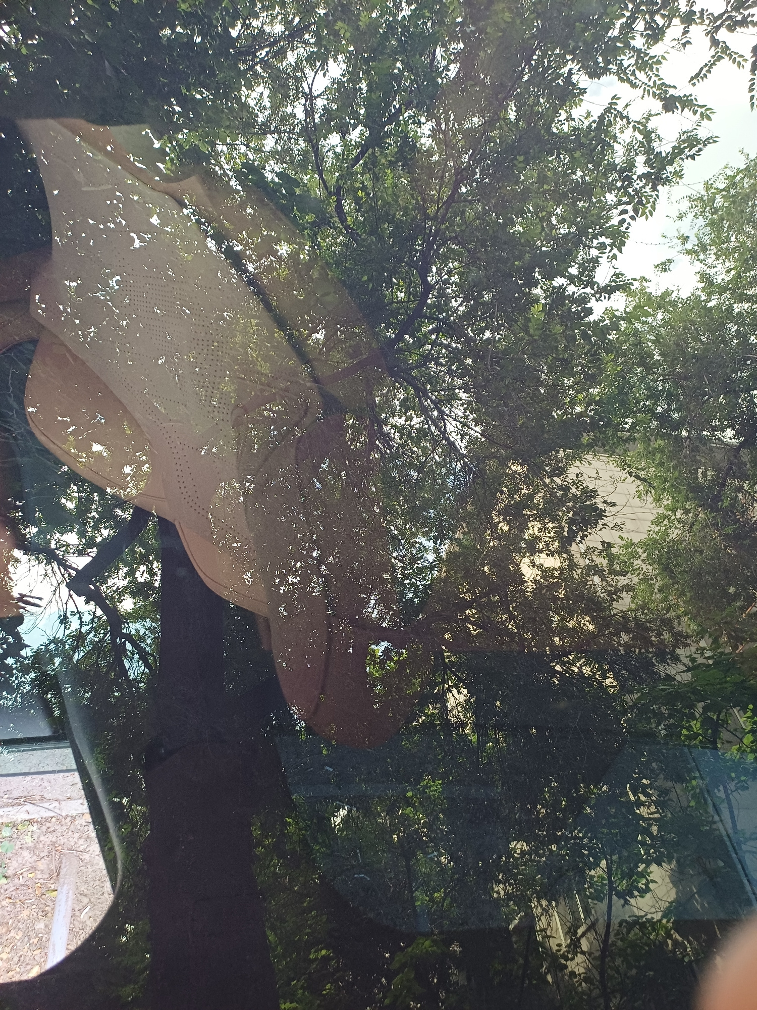 The image shows a reflection of trees and a light-colored object with a pattern of small holes on what appears to be a car windshield. The trees suggest an outdoor setting, likely in a park or along a street with foliage. The object reflecting on the windshield is not clearly identifiable, but its perforated pattern and curvature suggest it could be a piece of fabric or a decorative item. The overall lighting and reflection quality indicate a daytime scene. The location in Almaty, Kazakhstan, cannot be determined from the visual information provided in the image.