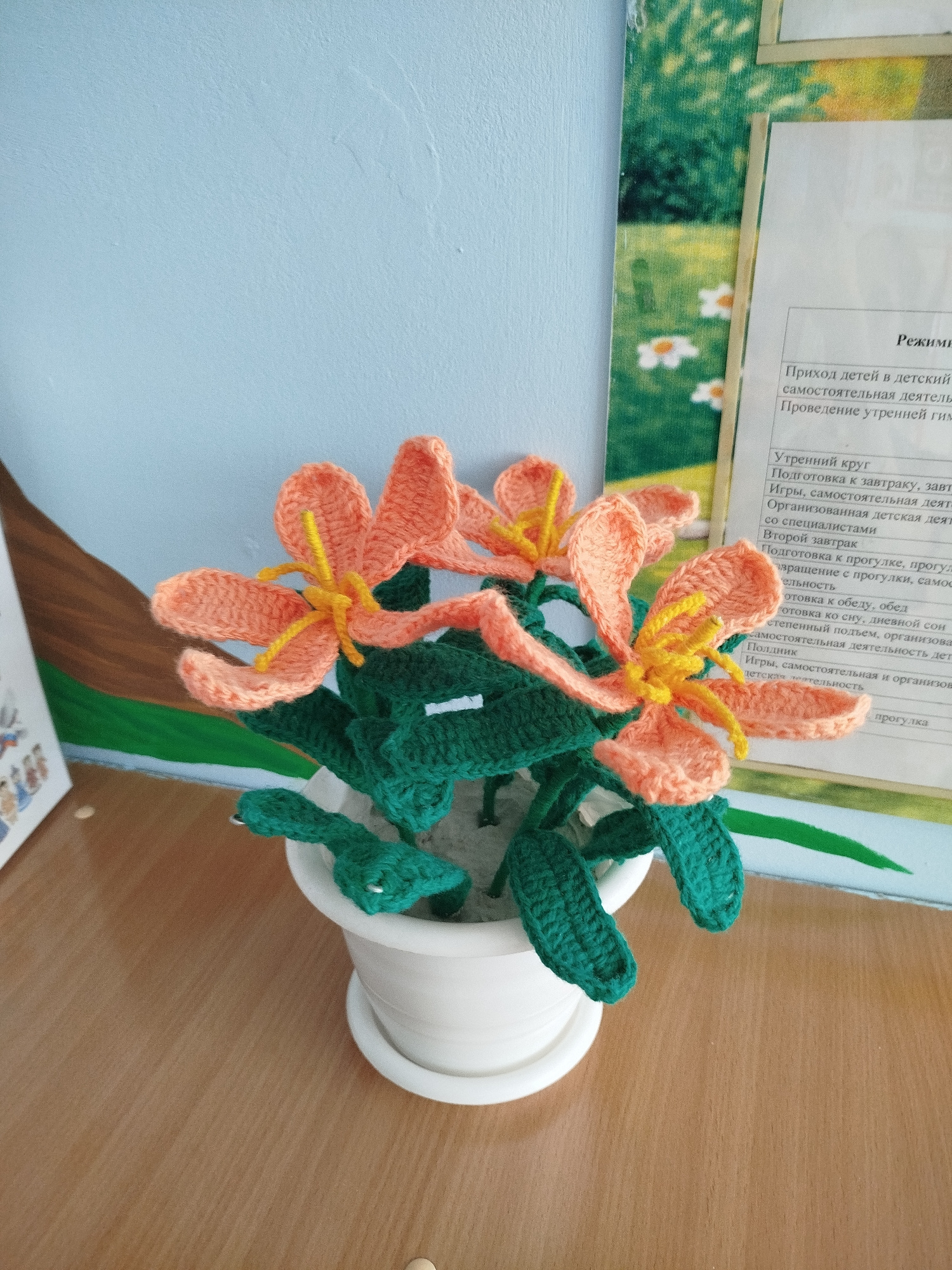 A close-up, eye-level shot captures a white ceramic pot containing a crocheted floral arrangement. The flowers, in a vibrant coral hue with yellow centers, have six petals each and are interspersed with dark green crocheted leaves. The pot sits on a light brown wooden surface, likely a desk or shelf. In the background, a pale blue wall meets a laminated poster with a pastoral landscape scene and Russian text, partially visible. The poster appears to be educational or informational, possibly a schedule, indicated by the heading "Режим" (Regime). The overall scene suggests an indoor setting, possibly a classroom or a child's room in Zavodoukovsk, Russia, given the Russian text.