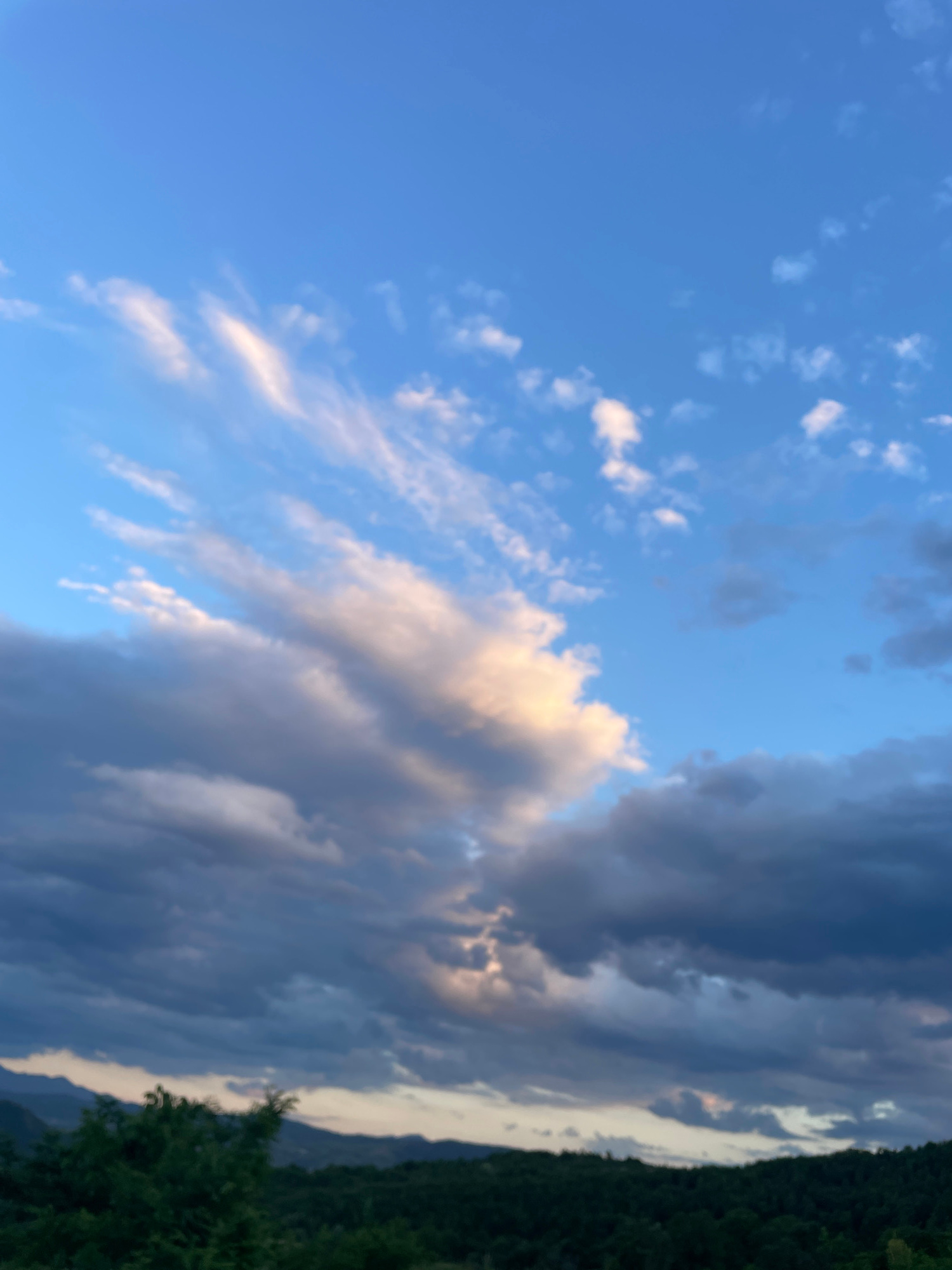 A vertical, medium shot captures a dramatic sky over a hilly, forested landscape. The sky is a vibrant blue, transitioning from a clear expanse at the top to a more clouded, turbulent appearance towards the horizon. Wispy white clouds are scattered across the upper sky, catching the light and appearing almost feathery. As the eye moves down, larger, darker clouds dominate, tinged with hues of grey and purple, suggesting an approaching storm or the remnants of one. Some of these clouds are illuminated by a soft, warm light, hinting at a sunset or sunrise.
Below the sky, a silhouette of rolling hills stretches across the frame. These hills are covered in dense, dark green foliage, appearing as a thick carpet of trees. The very bottom of the image shows the tops of some closer, darker green trees, their branches reaching upwards towards the sky. The scene is devoid of any human presence or discernible structures, creating a natural, untamed panorama. The overall impression is one of a serene, yet powerful, natural landscape under a dynamic sky.