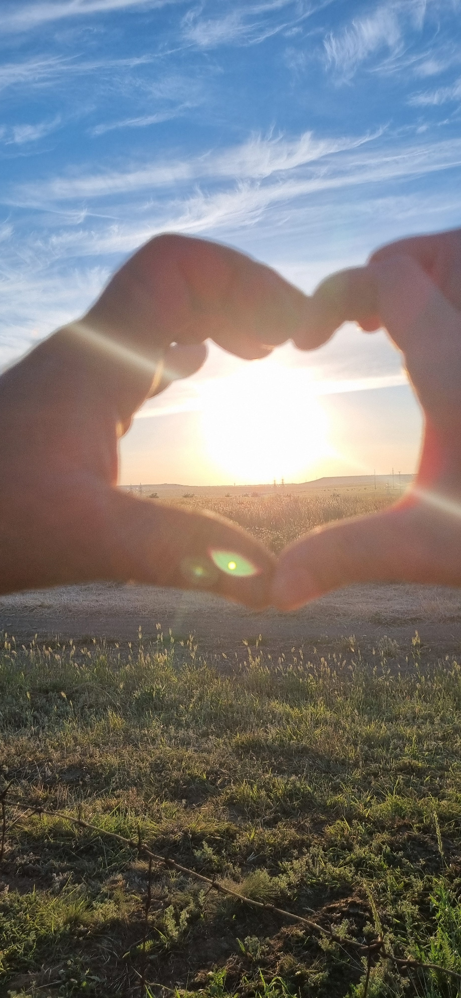 A vertical, medium shot captures a sunset framed by two hands forming a heart shape. The sun, a bright, diffused orb, is positioned at the horizon, casting a warm glow across the landscape. Wispy white clouds streak across a blue sky. The foreground features a field of dry, light-colored grass with a few darker green patches. A barbed wire fence runs diagonally across the bottom of the frame. The scene is set in an open, rural area, possibly the outskirts of Blizhnee, Ukraine. The overall impression is one of peace and natural beauty.