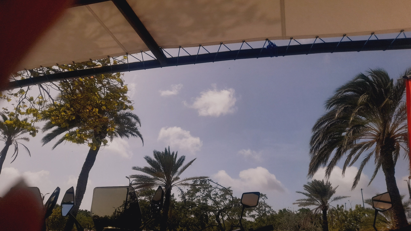 The image shows a view looking up at a light-colored canopy supported by dark beams. Palm trees, including a tall one with vibrant green leaves, are visible against a pale blue sky with scattered white clouds. In the foreground, the windshield and mirrors of a motorcycle are present, reflecting the surrounding environment. The scene appears to be outdoors, possibly in a tropical or subtropical urban setting, with a sense of a breezy day suggested by the rustling palm fronds. There are no people depicted in the image. This image could have been taken in Pedro González, Venezuela, given its characteristic palm trees and possibly a covered outdoor area common in such locations.