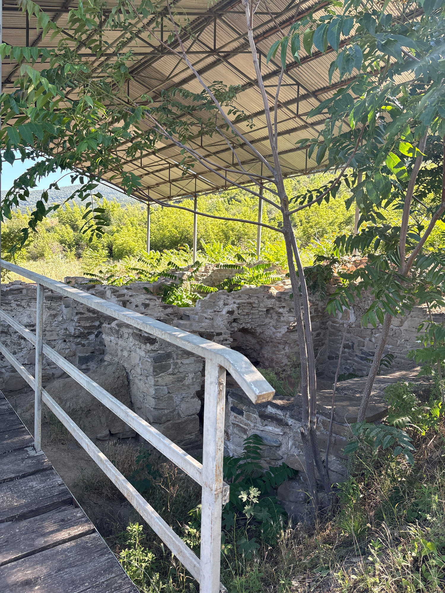 The image depicts the archaeological site of an ancient structure in Mtskheta, Georgia, likely part of a historical complex. In the foreground, a wooden walkway with a weathered surface is visible, leading to a white metal railing. Beyond the railing, the remains of stone walls, forming an excavated area with an arched opening, are present. The ruins are partially covered by a metal canopy structure with a corrugated roof, supported by metal poles. Lush green foliage, including trees with dark bark and numerous leaves, surrounds the site, with a backdrop of distant green hills under a clear blue sky. The scene is bathed in sunlight, casting shadows and highlighting the textures of the stone, wood, and vegetation. There are no people or animals visible in the image.