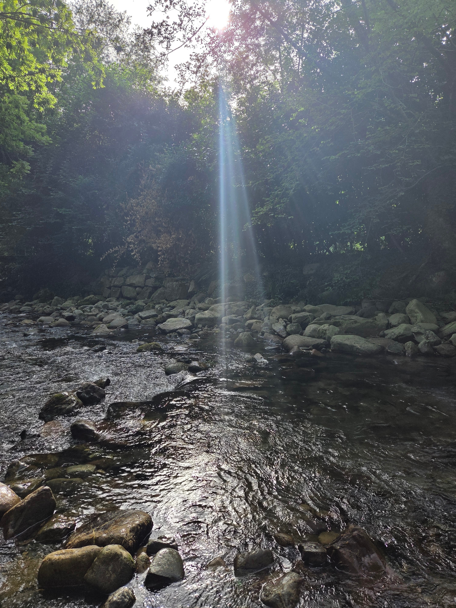 The image shows a shallow, rocky river flowing through a dense forest. Sunlight streams down through the trees, creating bright rays that illuminate the water and the surrounding rocks. The riverbed is covered with numerous smooth, gray stones of various sizes. The banks of the river are lined with more stones and are densely covered with lush green foliage and trees. The overall impression is one of a serene and natural landscape. There are no people or animals visible in the image. The location is not identified as being in the city of Baztan, Spain.