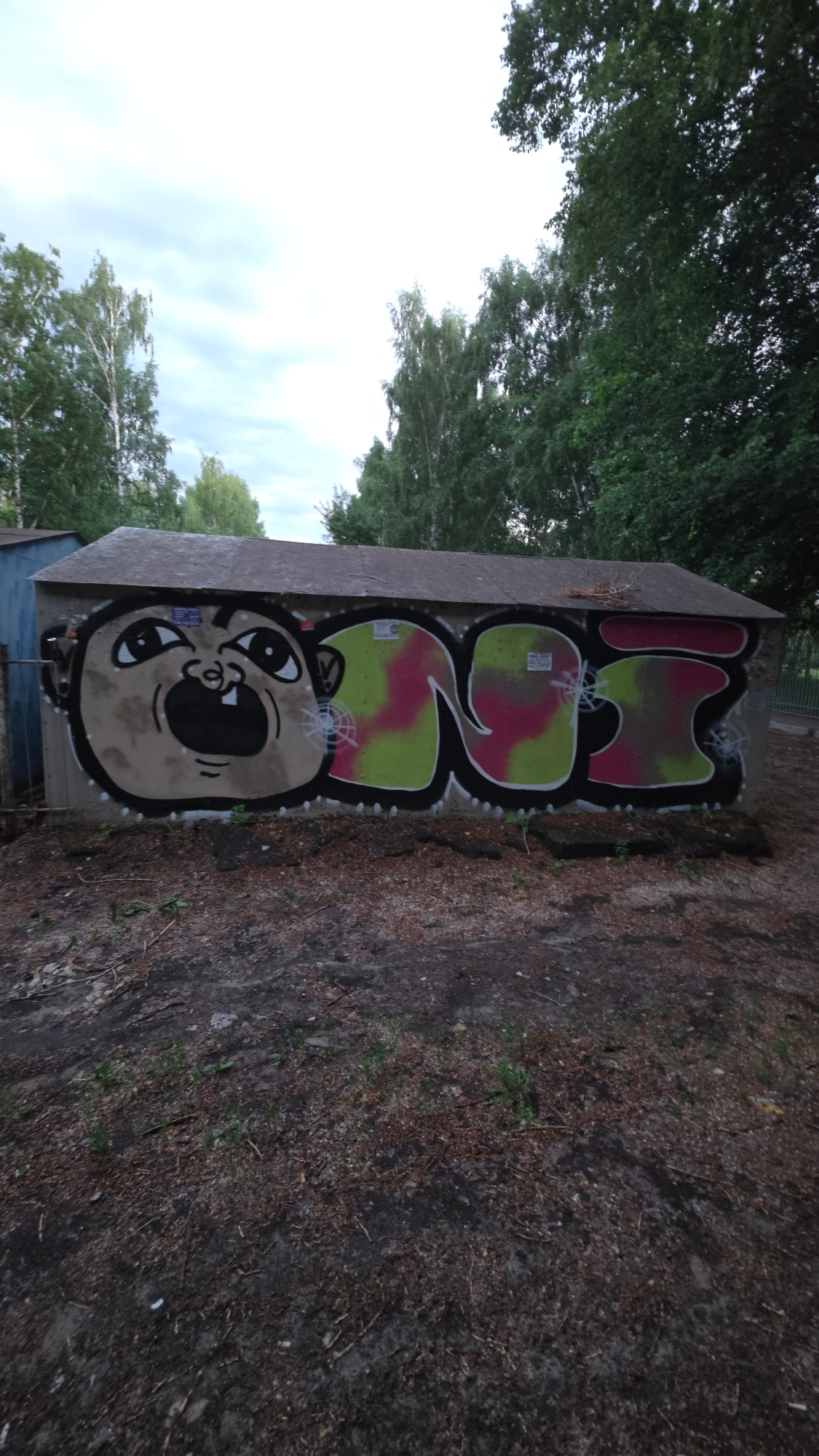 The image shows a small, single-story, rectangular building with a dark, sloped roof. The front wall of the building is covered in graffiti. On the left side of the wall is a large, stylized cartoon face with wide eyes, an open mouth showing one tooth, and a round head. To the right of the face are three large, block-style letters rendered in graffiti. The first letter is partially obscured by the face. The second and third letters are filled with a pink and lime green camouflage pattern, outlined in black, and have white spray-paint accents resembling spiderwebs. There are some small, rectangular stickers on the graffiti. The building appears to be made of concrete blocks. The ground in front of the building is dark and covered with debris, including small branches and pine needles. Trees with lush green foliage are visible in the background, obscuring the sky in places. The overall environment suggests an outdoor, somewhat neglected area, possibly an industrial or undeveloped part of a city. The image was taken in Kazan, Russia.