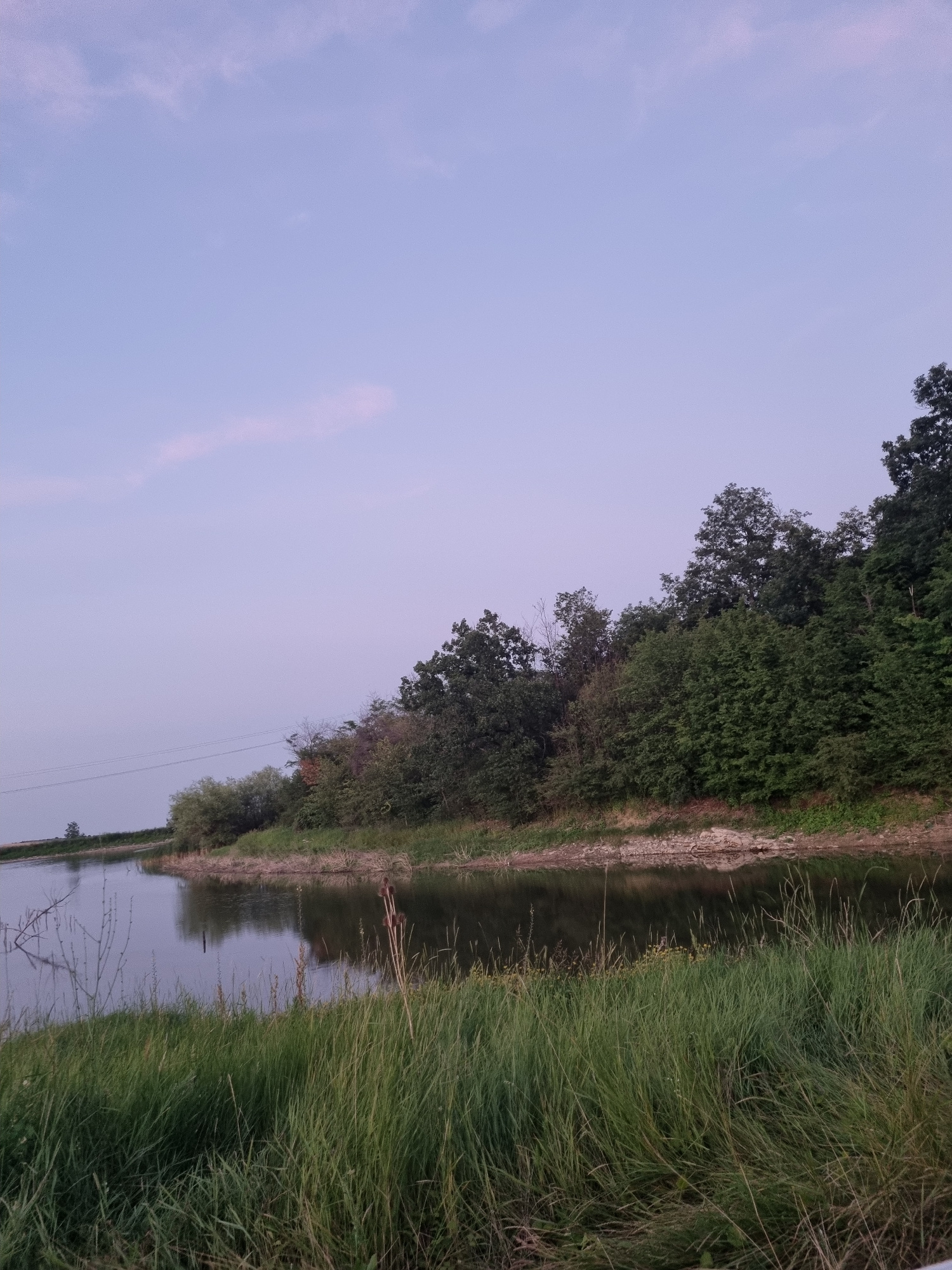 A serene, low-angle shot captures a tranquil body of water in the foreground, reflecting the overcast, dusky sky above. Tall, lush green grass lines the water's edge, creating a natural embankment. Beyond the grass, a dense forest of trees, varying in shades of green and brown, ascends a gentle slope. Power lines are visible in the distance, traversing the horizon against the pale blue and pink hues of the sky. The overall scene evokes a sense of quietude and natural beauty.