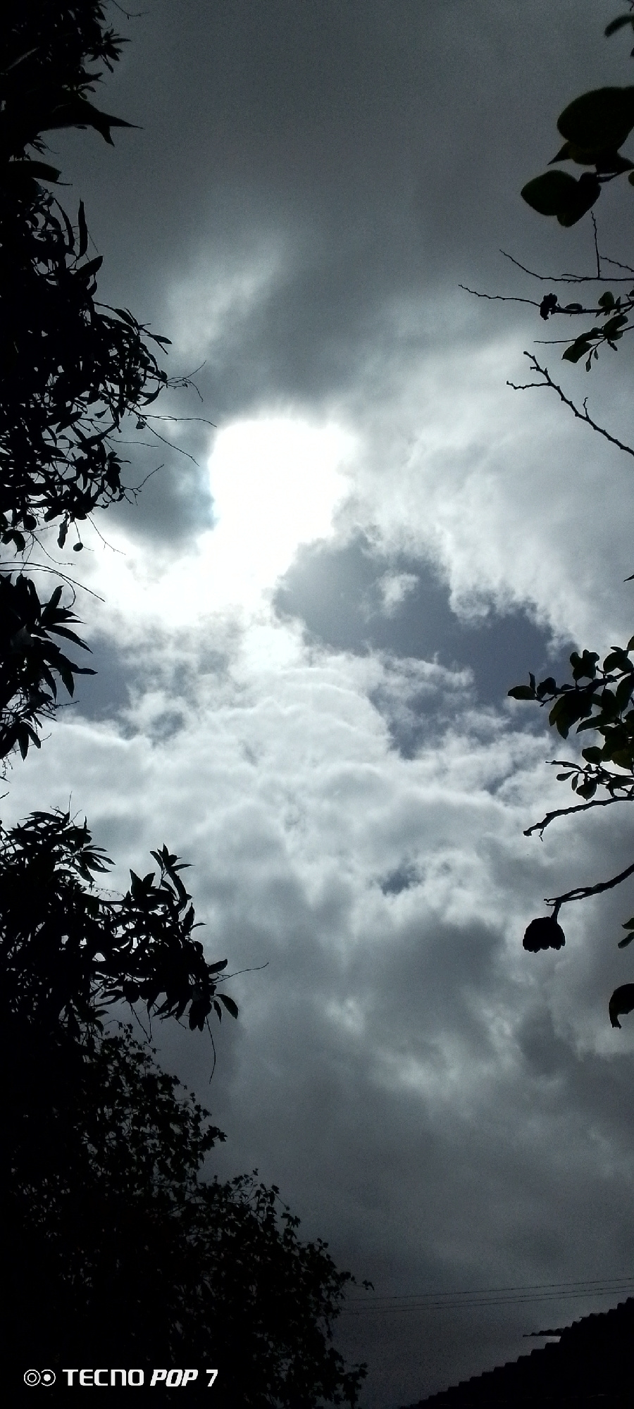 The image is a vertical, low-angle shot of a sky filled with dramatic, heavy clouds, with areas of bright sunlight breaking through. Silhouetted foliage from trees frames the top left and top right of the image. A dark, leafy branch with a distinct hanging fruit or seed pod is visible in the upper right quadrant. In the lower right corner, the dark silhouette of a tiled roof is visible. The bottom left corner contains the white text "TECNO POP 7" with a circular logo. The scene suggests an outdoor environment, possibly a residential area, with overcast or stormy weather conditions. The overall mood is dramatic and somewhat foreboding due to the dark clouds and silhouettes. The exact location in Altagracia, Venezuela, is not directly indicated by any visual cues within the image itself, other than the camera branding which may suggest a local capture.