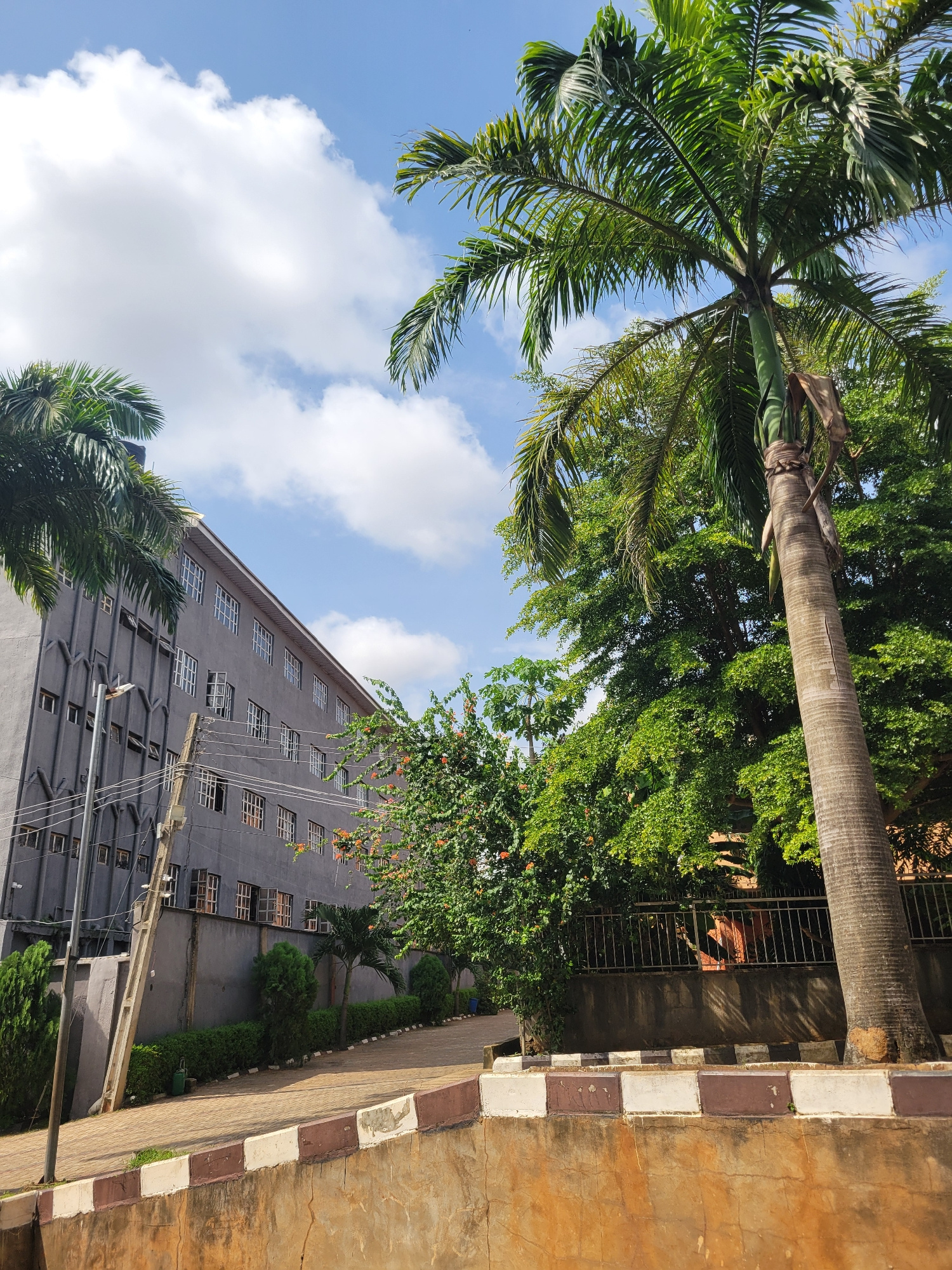 An exterior, low-angle, full shot captures a modern gray building with rows of windows on a clear day. A tall palm tree stands to the right of the building, its fronds reaching towards the blue sky. Adjacent to the building is a lush green hedge and other trees, creating a vibrant natural contrast. The foreground shows a concrete wall with a patterned border of brown and white squares. The scene suggests a well-maintained urban environment with a blend of architecture and greenery.