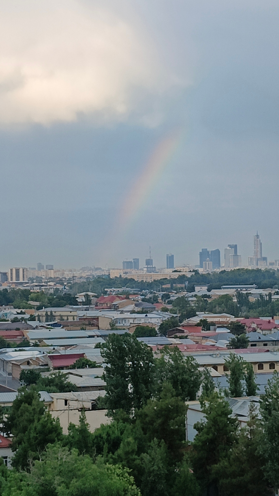 The image depicts a cityscape under a cloudy sky with a rainbow arcing across the upper left quadrant. In the foreground, a dense cluster of green trees dominates the lower portion of the frame. Beyond the trees, a dense urban area unfolds, characterized by numerous residential buildings with varied roof colors, including red, gray, and beige. Further in the background, a cluster of modern high-rise buildings, indicative of a city center, forms the skyline. The overall atmosphere is overcast, with the rainbow suggesting recent or ongoing rainfall. Based on the architecture and the presence of modern skyscrapers, this scene is likely located in Tashkent, Uzbekistan, possibly in a district like the one around Amir Timur Square or the Tashkent City development. There are no people or discernible actions visible in the image.