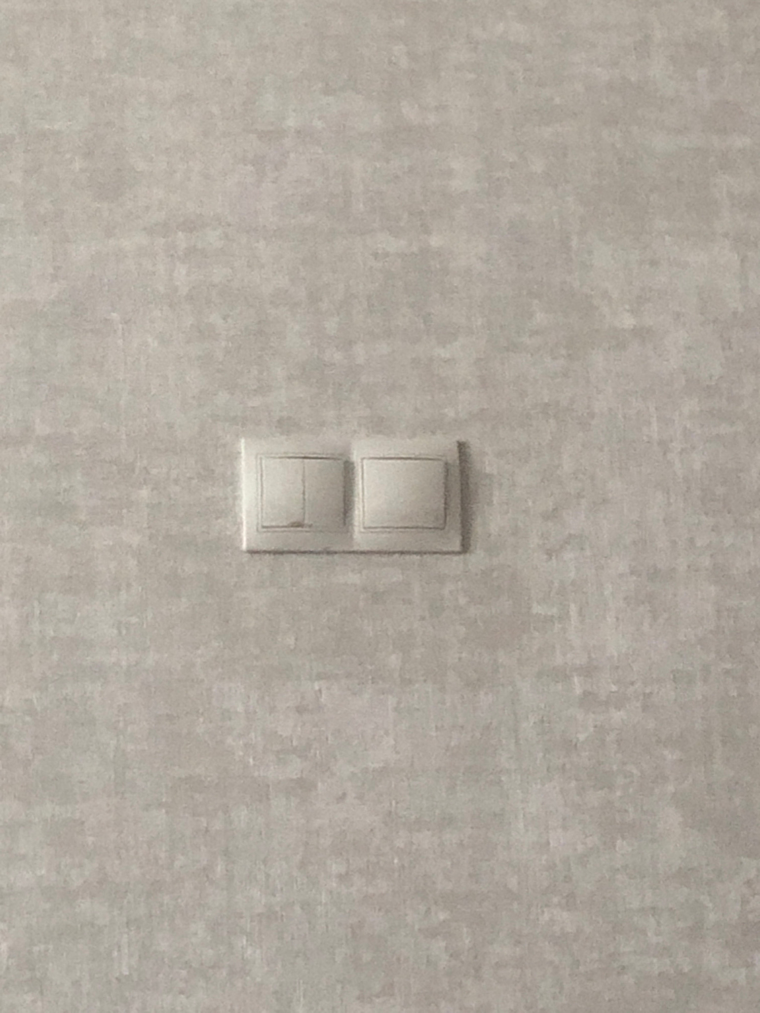 The image shows a light switch with two buttons on a textured, light gray wall. The switch is centrally located and appears to be a standard electrical switch, likely for controlling lights. The texture of the wall suggests it may be wallpaper or a painted surface with a subtle pattern. There are no people visible in the image, and no specific activity is taking place. The lighting suggests an indoor setting, possibly during the day as there are no distinct shadows indicating artificial light. The overall scene is simple and unremarkable, focusing solely on the light switch as the main object. No text is visible in the image.