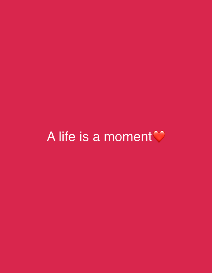 A white text overlay on a solid pink background reads "A life is a moment" followed by a red heart emoji. The text is centered horizontally and is located in the lower middle portion of the image.
