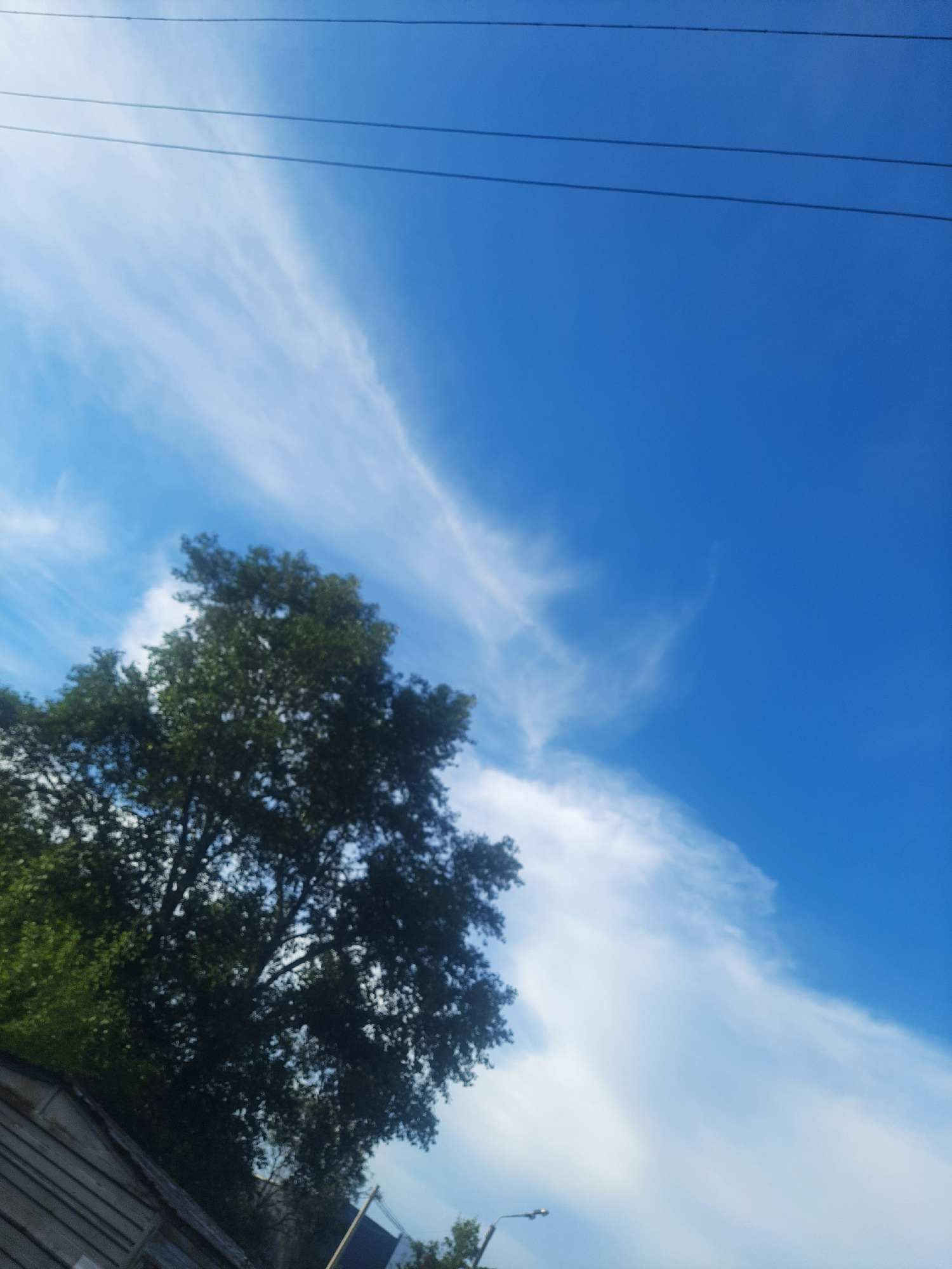 The media file depicts a bright, clear blue sky with scattered wispy white clouds, suggesting a pleasant daytime weather condition. In the foreground, a dense, dark green tree with a full canopy occupies the right side of the frame, its branches reaching upwards. To the left, three thin, dark power lines stretch diagonally across the sky, indicating the presence of infrastructure. Partially visible at the bottom right is a rustic wooden structure, possibly a shed or fence, with weathered planks. The image is a low-angle shot looking upwards, capturing the expanse of the sky and the upper portions of the tree and power lines. There is no discernible text or specific activity taking place. The overall impression is one of a serene, outdoor scene on a sunny day, likely in a semi-urban or rural setting given the combination of natural elements and man-made structures. The time of day appears to be mid-morning or afternoon, judging by the brightness of the sky and the shadows cast by the tree.