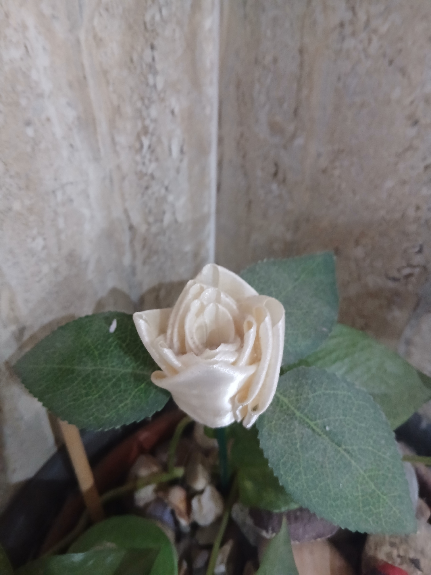 A close-up, eye-level shot captures a single, artificial cream-colored rose nestled amongst green leaves and small stones, likely in Navaluenga, Spain. The rose, crafted from satin fabric, is tightly furled, with visible pleats and a subtle sheen reflecting the light. Two prominent artificial green leaves with visible veins frame the rose, their edges slightly serrated. The background consists of a textured, light-colored wall, possibly marble or painted stucco, with a faint vertical line suggesting a corner. The ground beneath the rose and leaves is covered in a mix of pebbles and what appear to be small, reddish-brown stones or twigs, hinting at an indoor plant pot or decorative arrangement. There are no people or discernible actions taking place. The lighting is soft, with no harsh shadows.