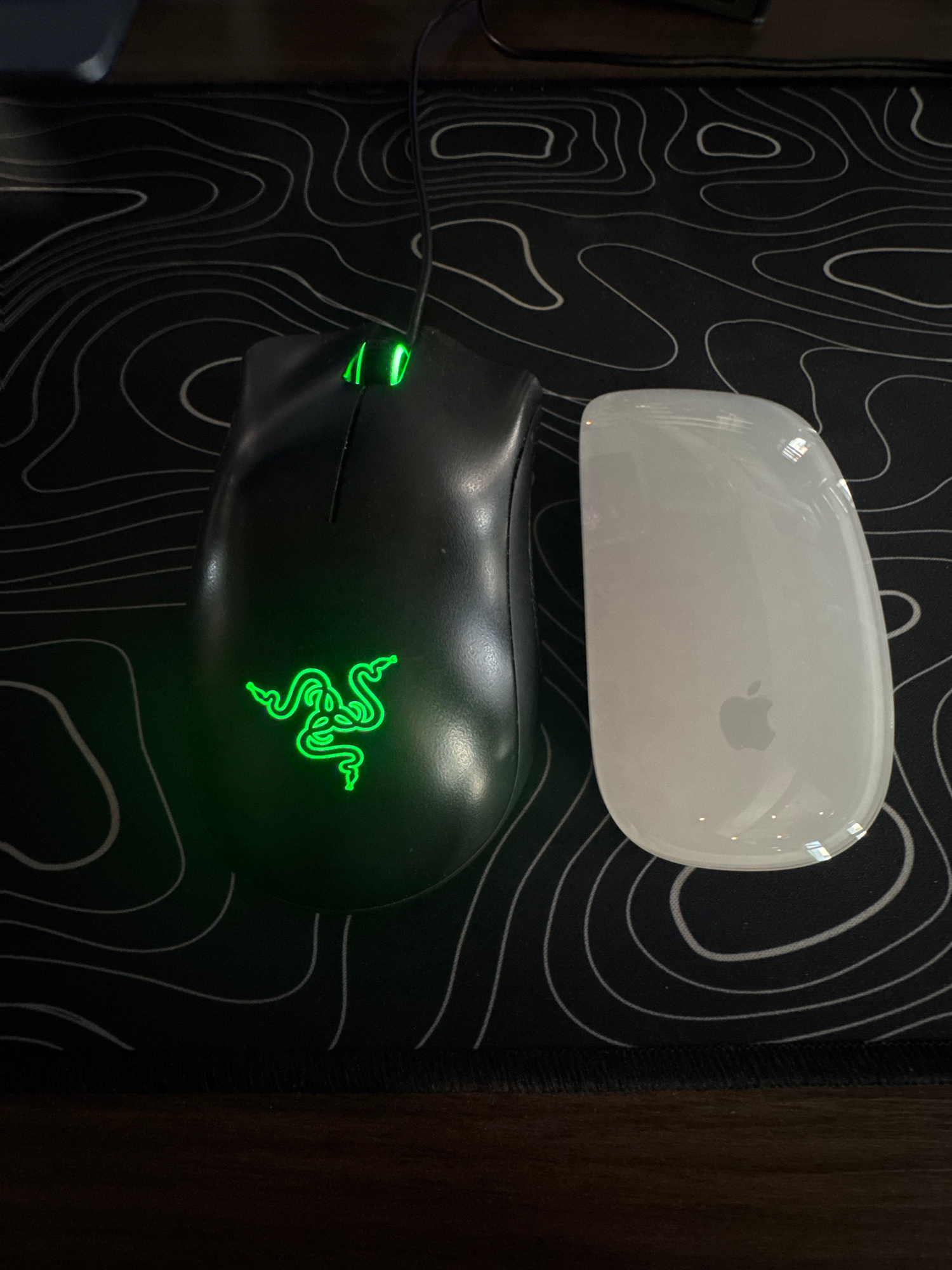Two computer mice, a black Razer mouse with a glowing green logo and a white Apple Magic Mouse, are positioned side-by-side on a black mousepad with a white topographical pattern. The Razer mouse is on the left, and the Apple mouse is on the right. Both mice are oriented with their tops facing upwards. The scene is illuminated from above, casting reflections on the glossy surfaces of the mice. The background is dark and out of focus. The overall impression is of a clean, organized desk setup.